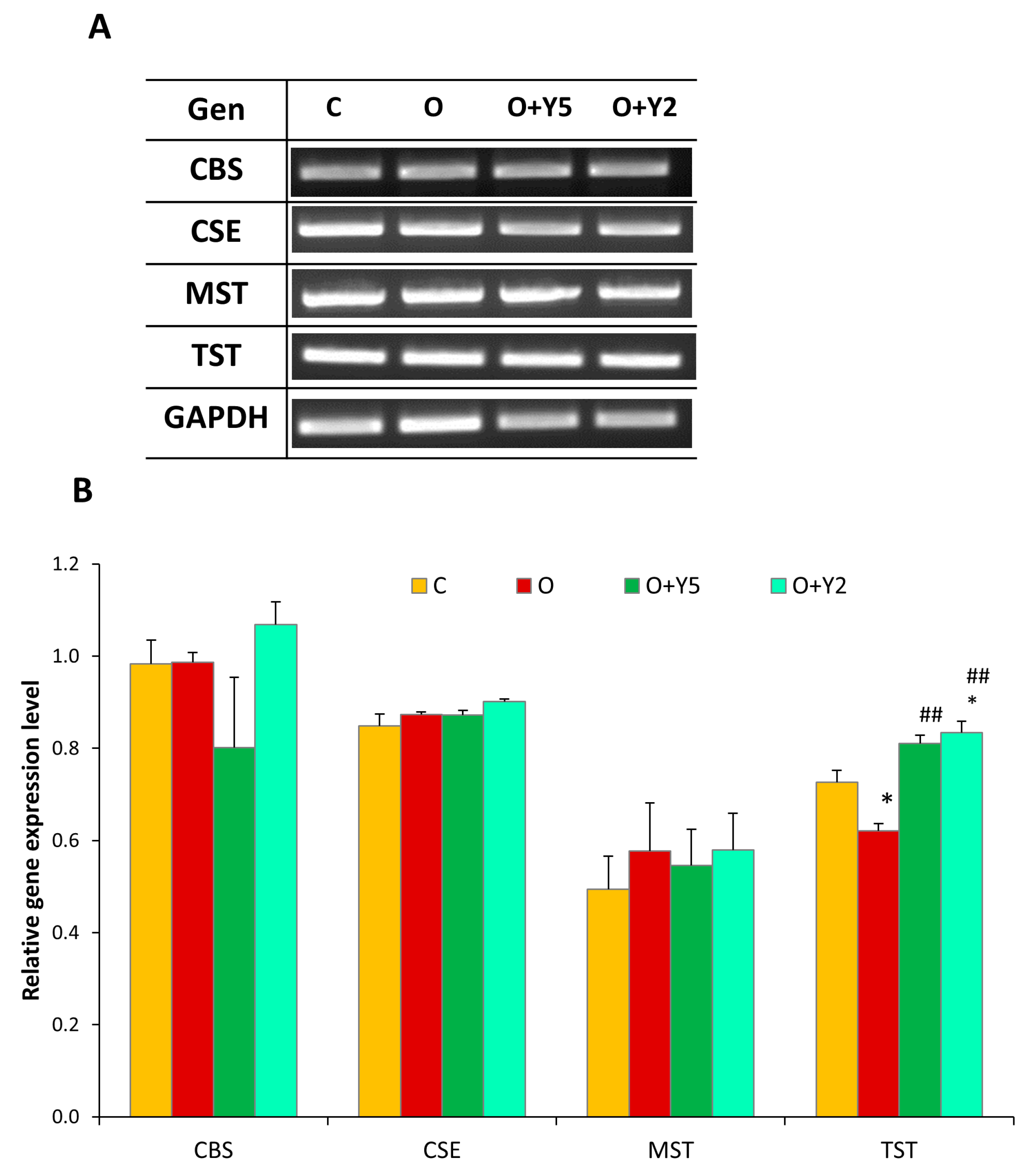 Molecules 28 02025 g005 Molecules 28 02025 g005