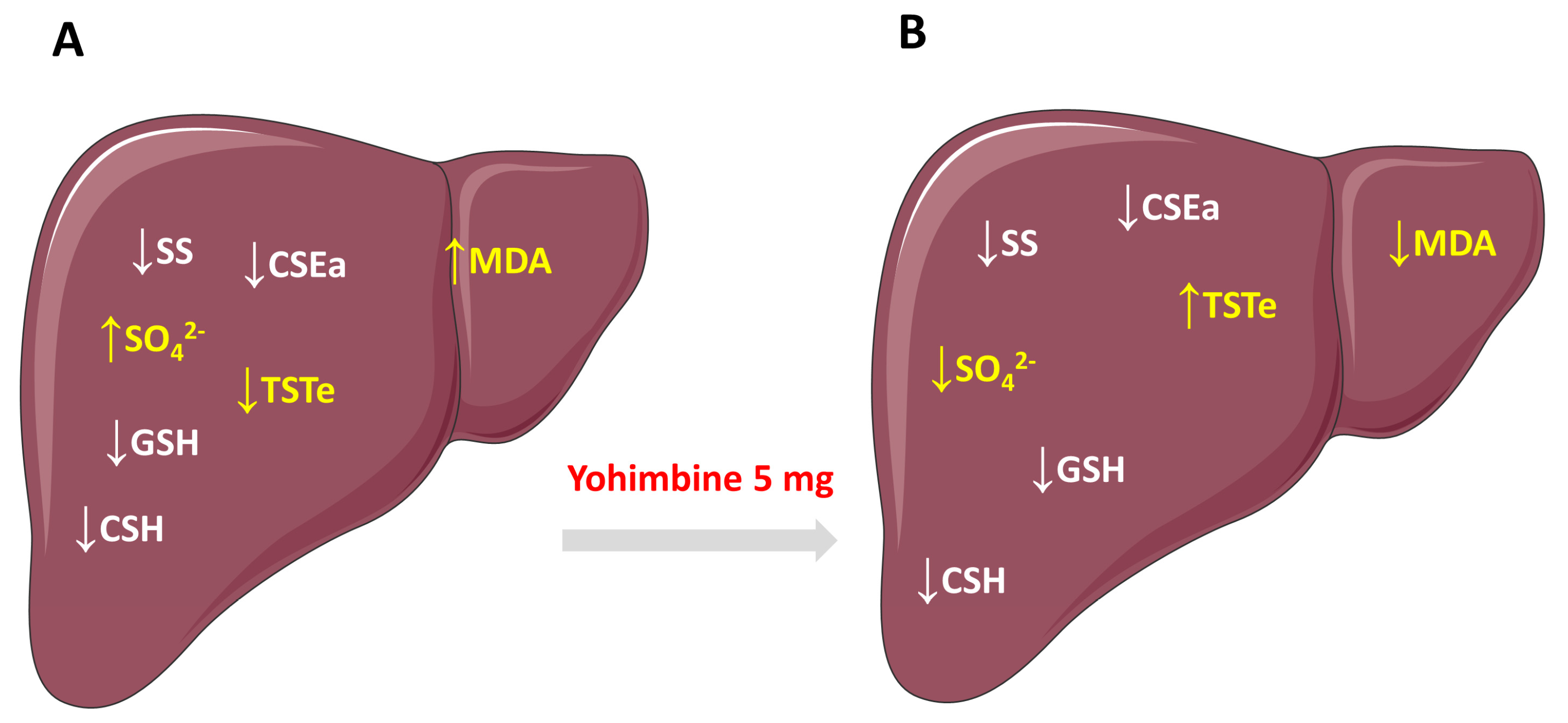 Molecules 28 02025 g009 Molecules 28 02025 g009