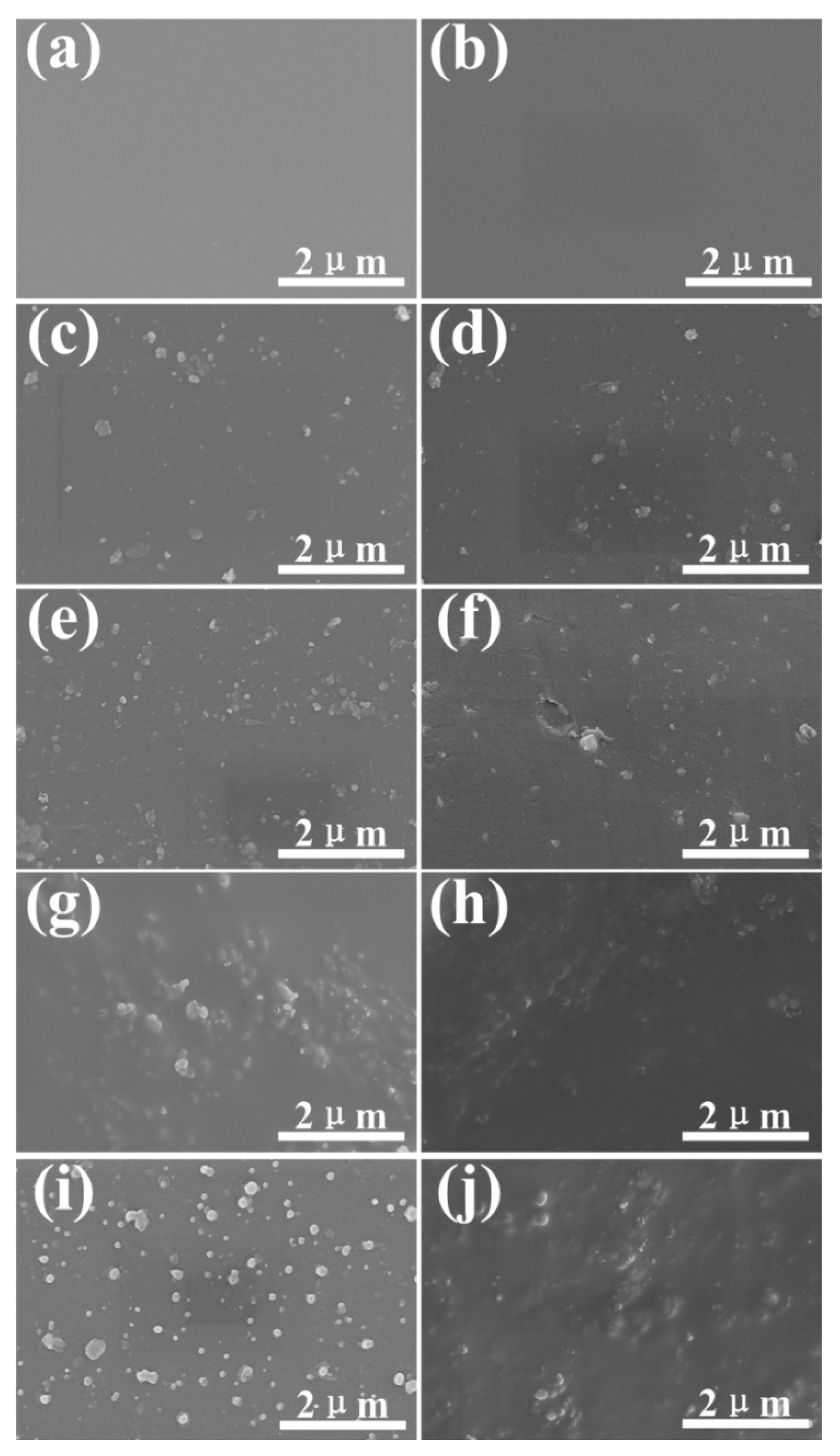 Molecules 28 02028 g002