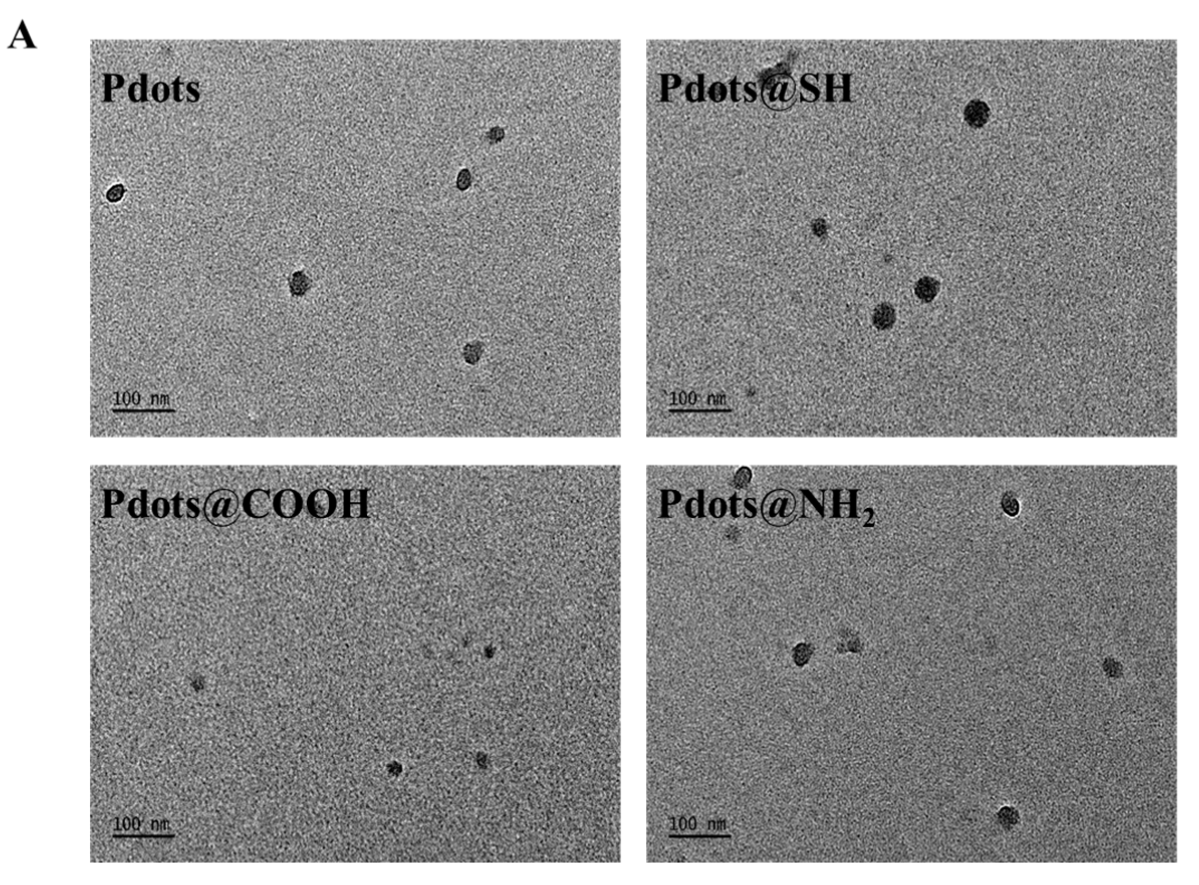 Molecules 28 02034 g002a