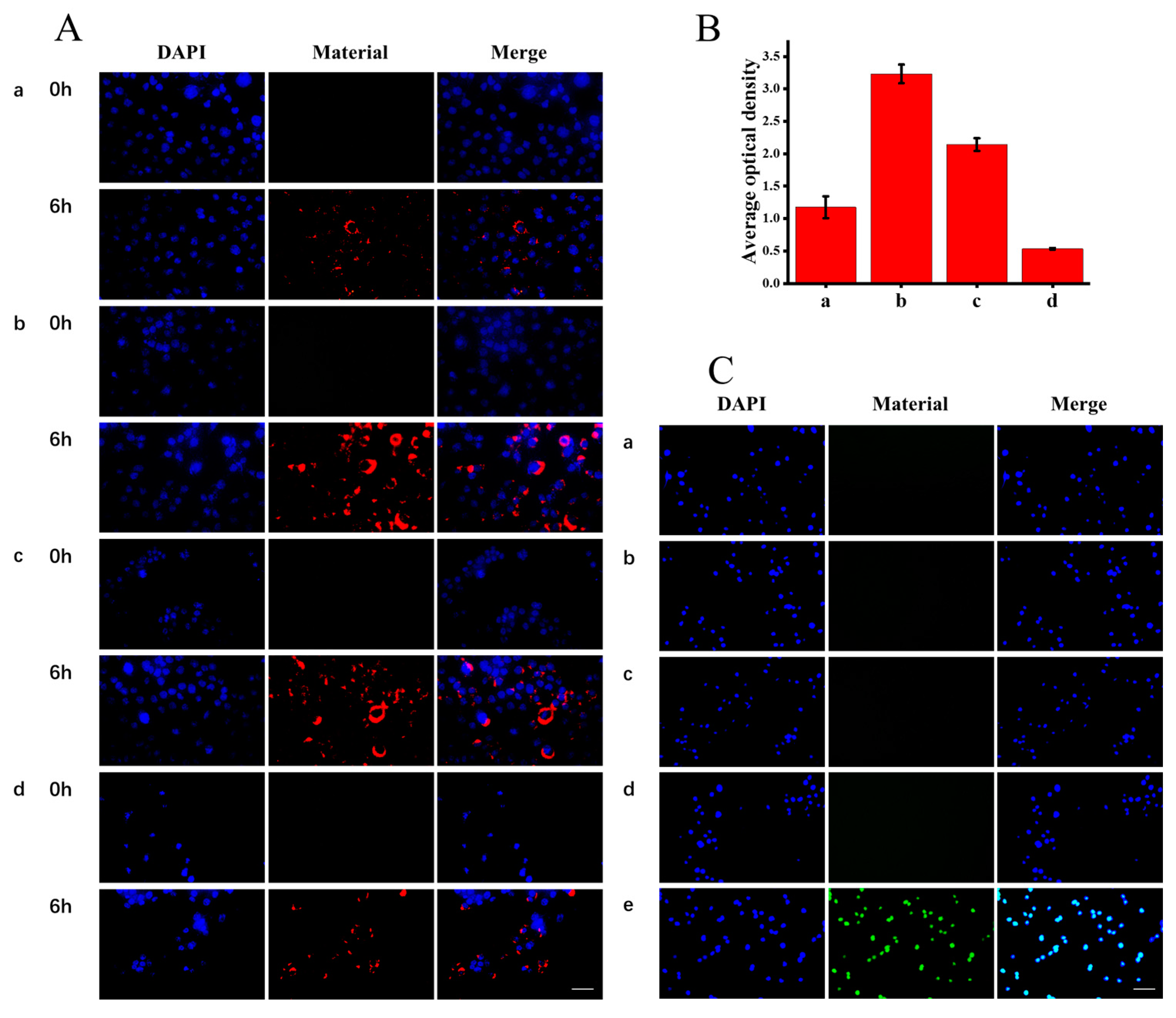 Molecules 28 02034 g004