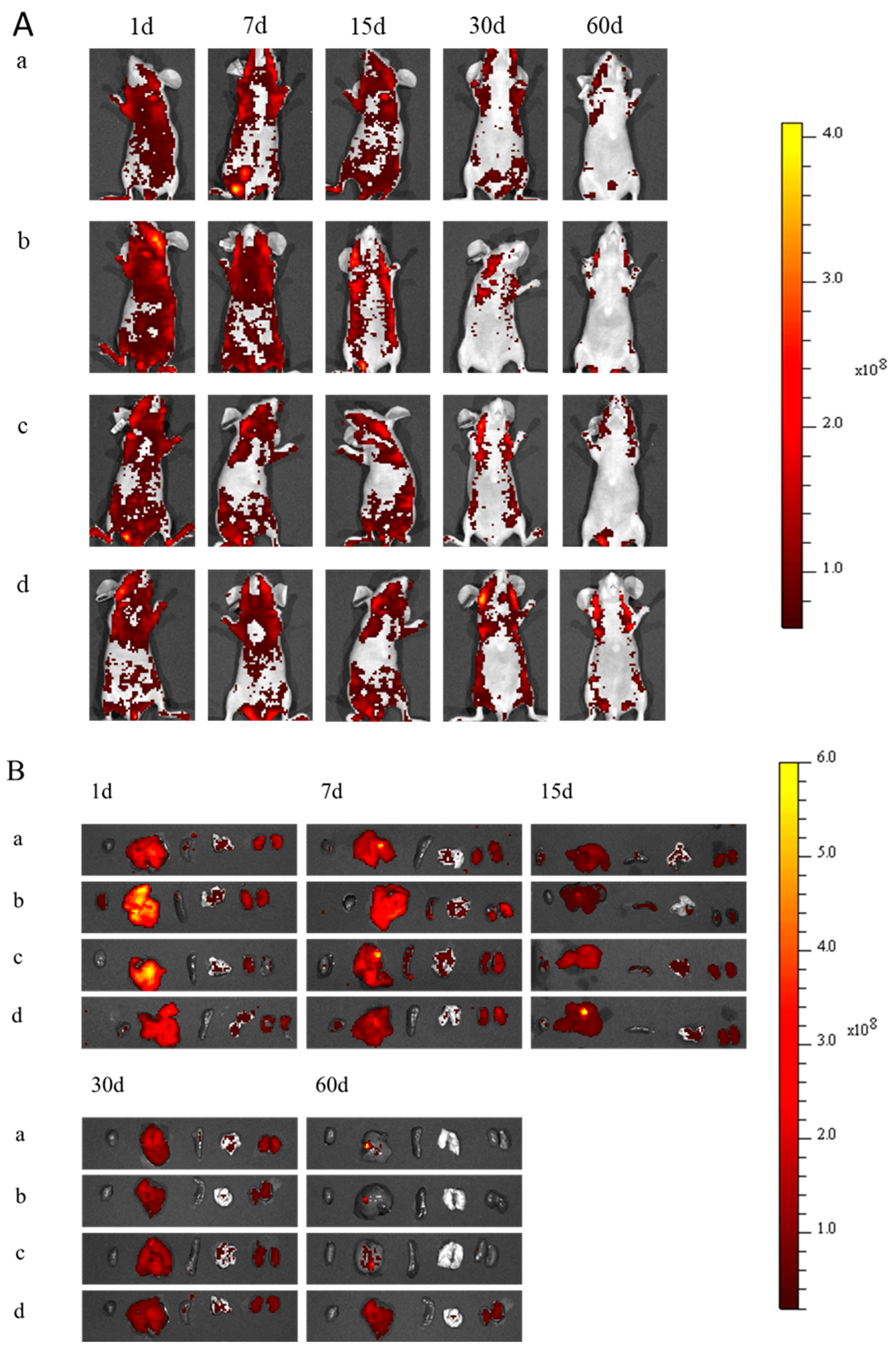 Molecules 28 02034 g005