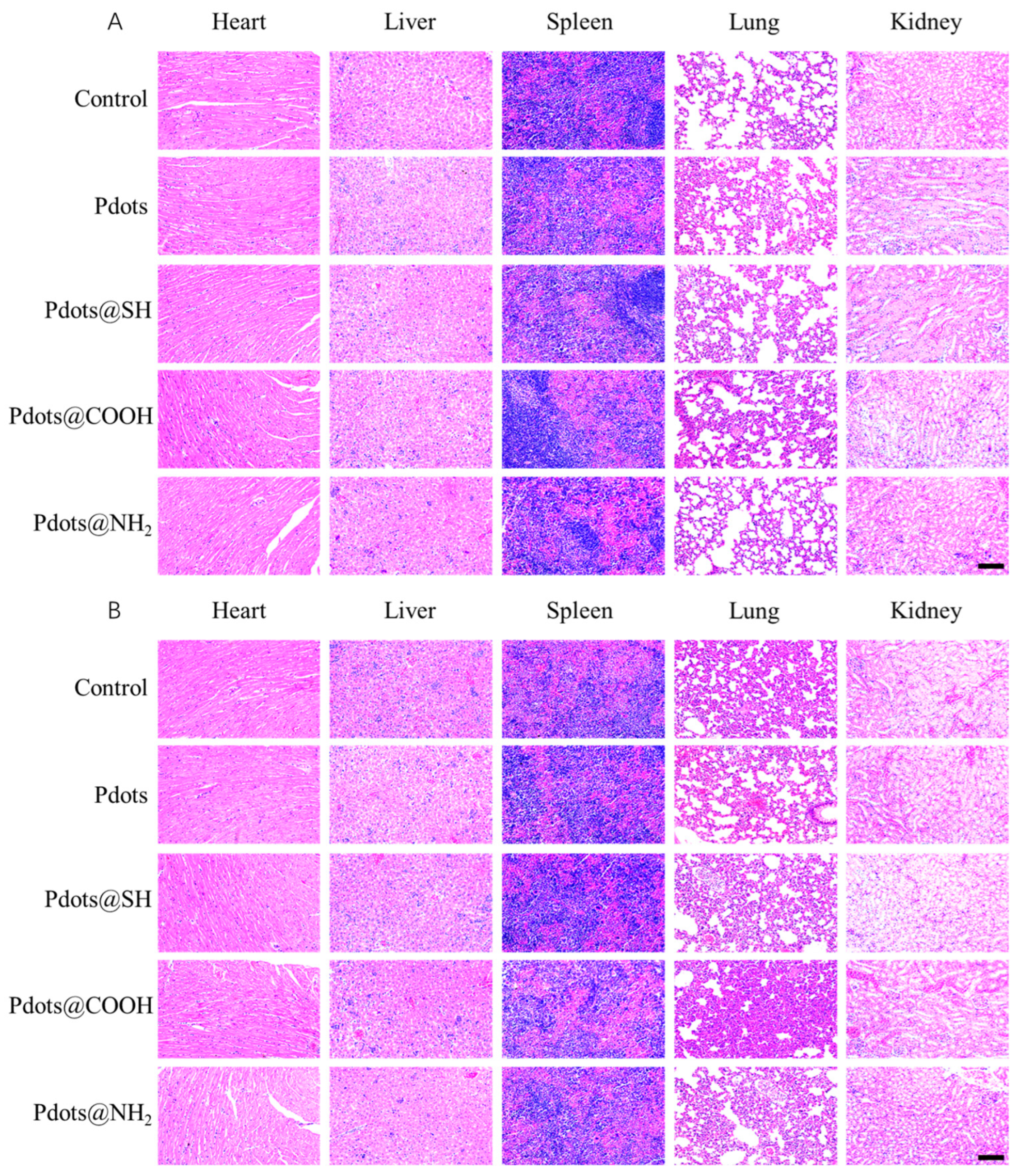 Molecules 28 02034 g008