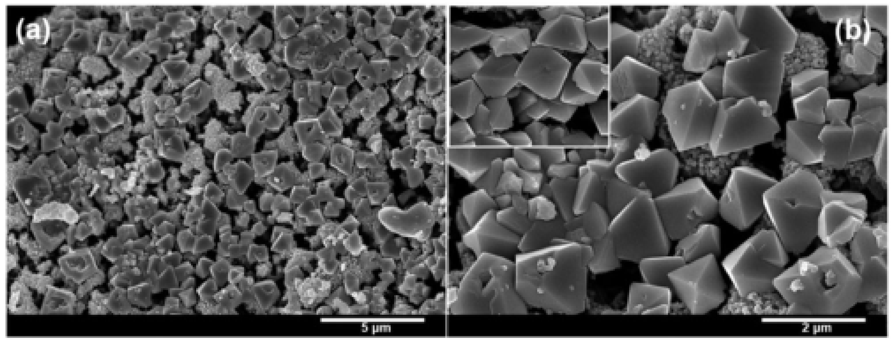 Molecules 28 02035 g005
