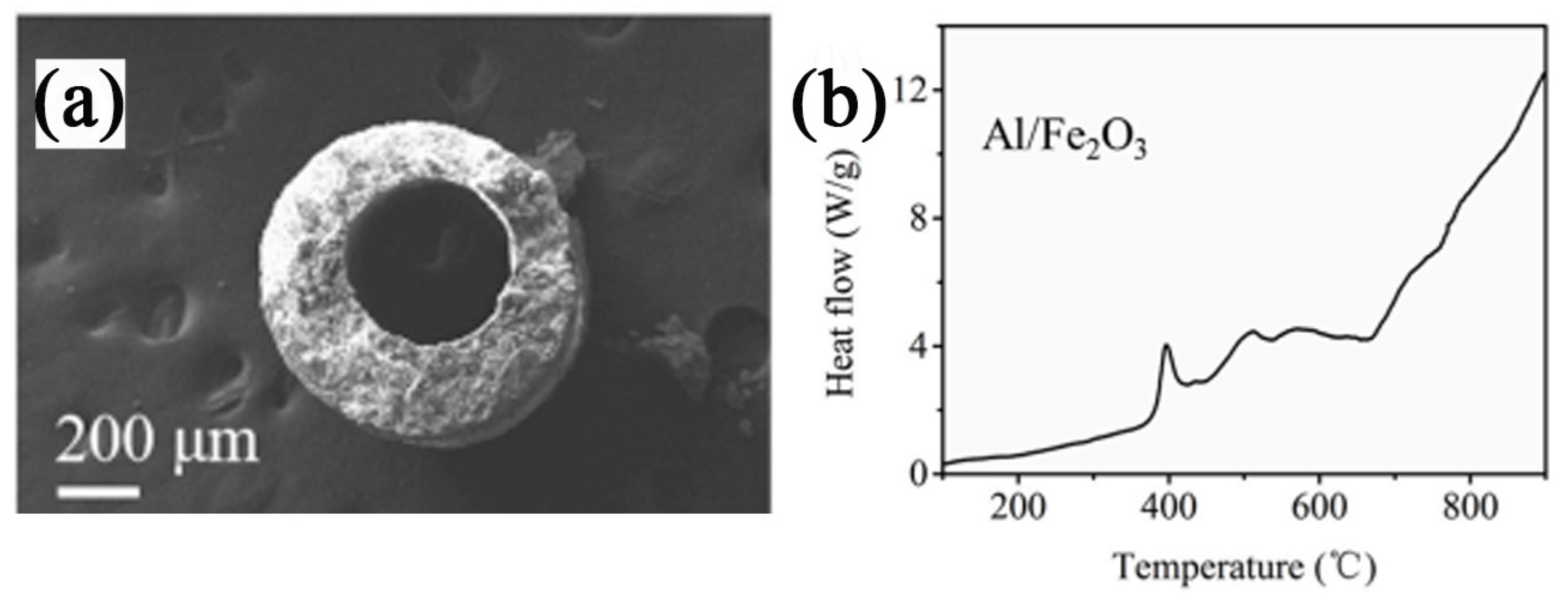 Molecules 28 02035 g038