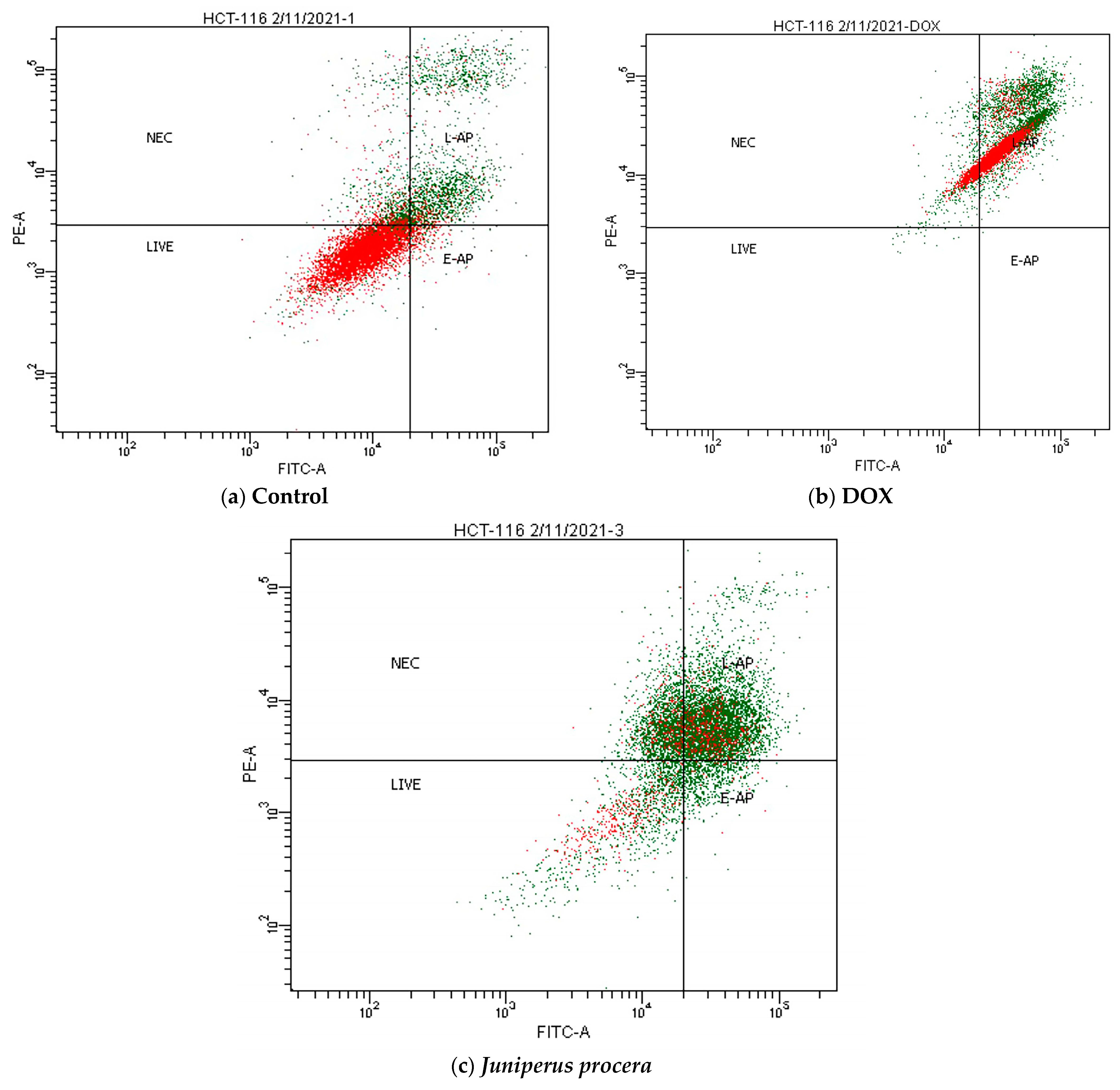 Molecules 28 02041 g005