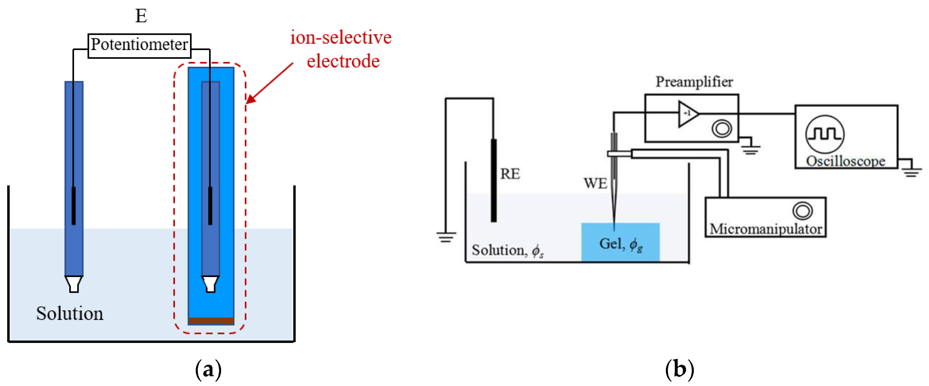 Molecules 28 02042 g001 Molecules 28 02042 g001