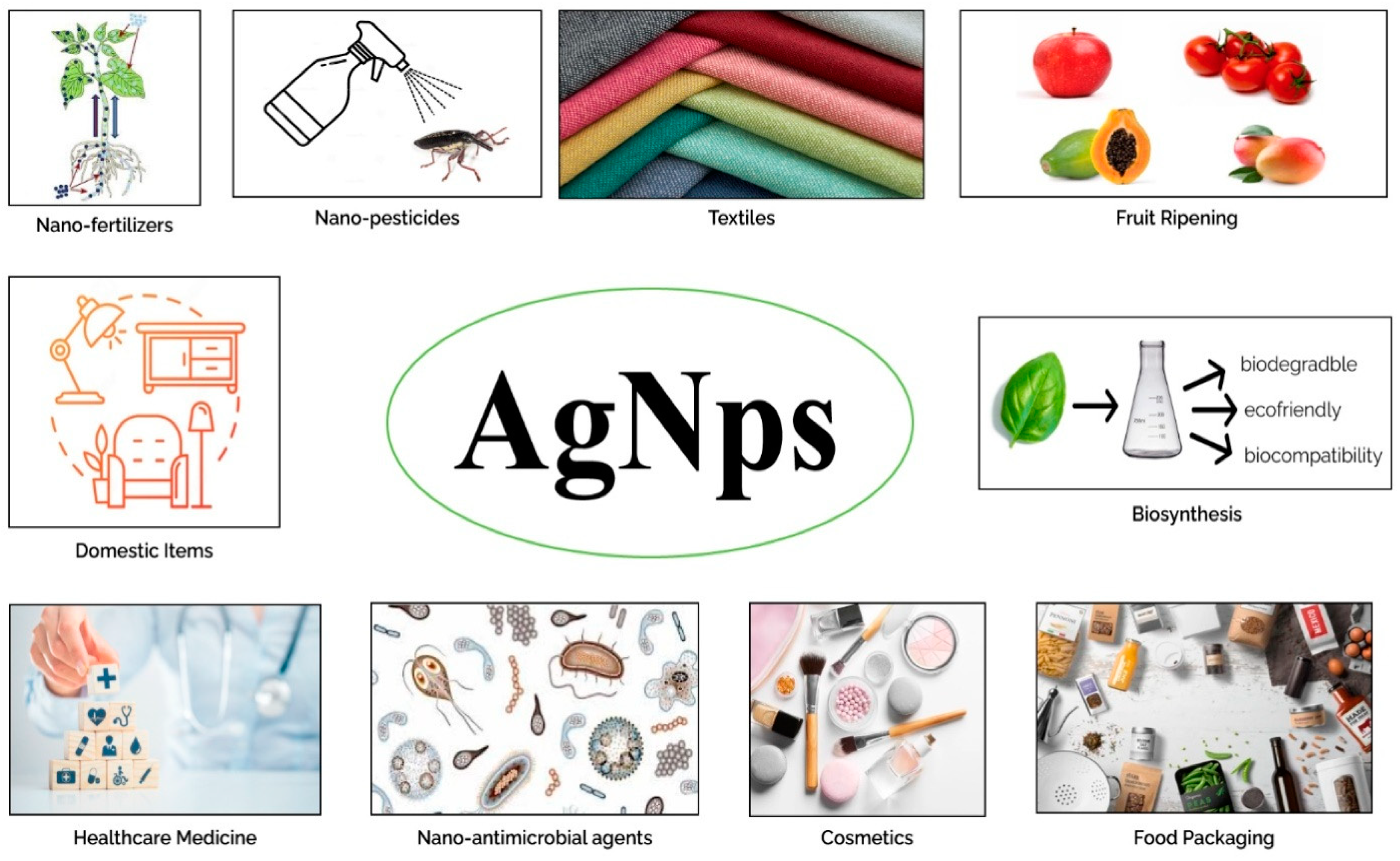 Molecules 28 02044 g001