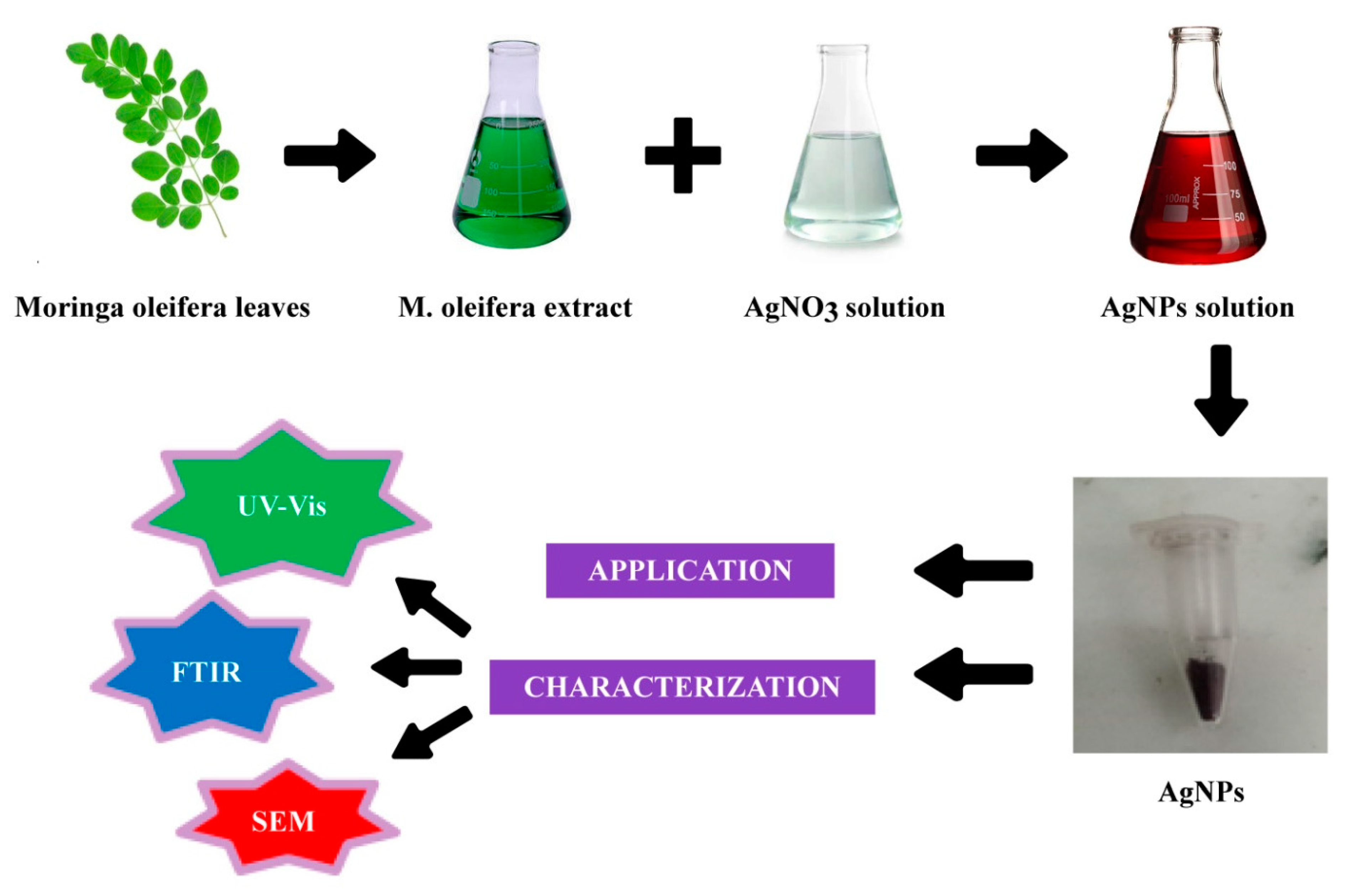 Molecules 28 02044 g010