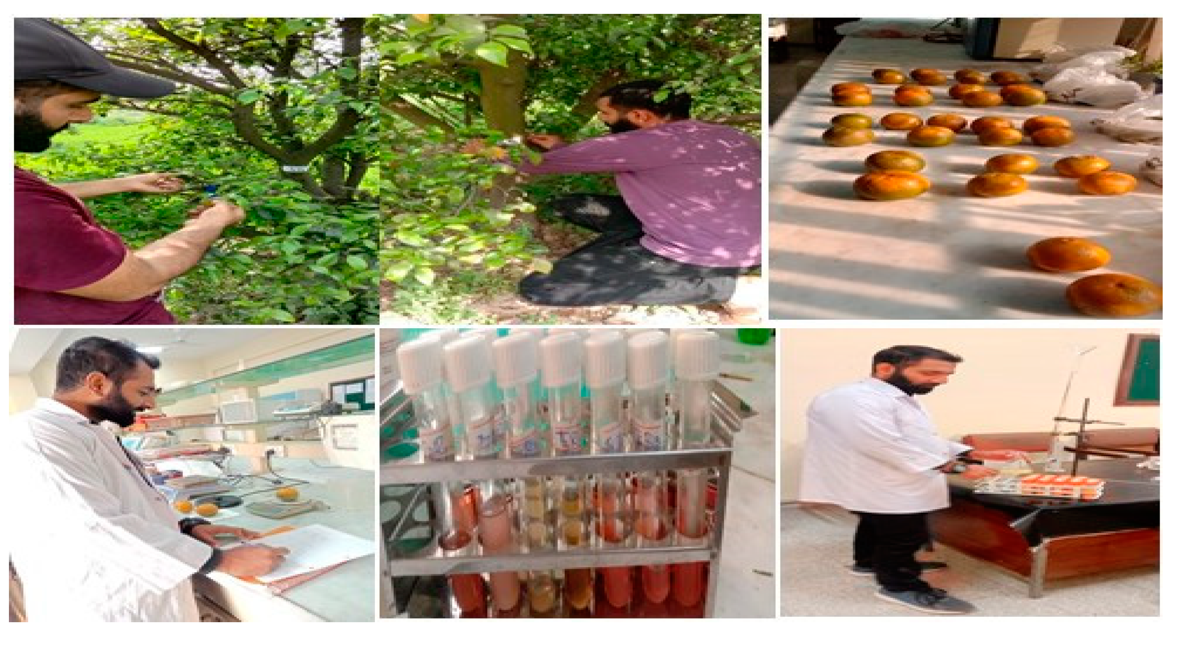 Molecules 28 02044 g011