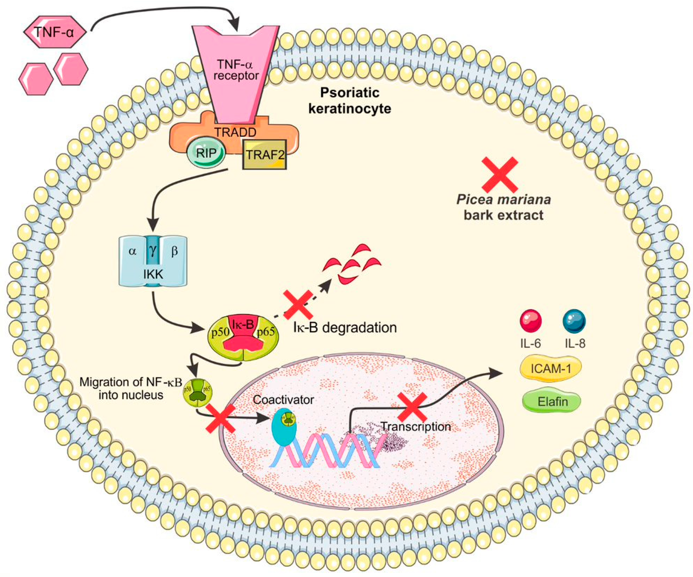 Molecules 28 02045 g004 Molecules 28 02045 g004