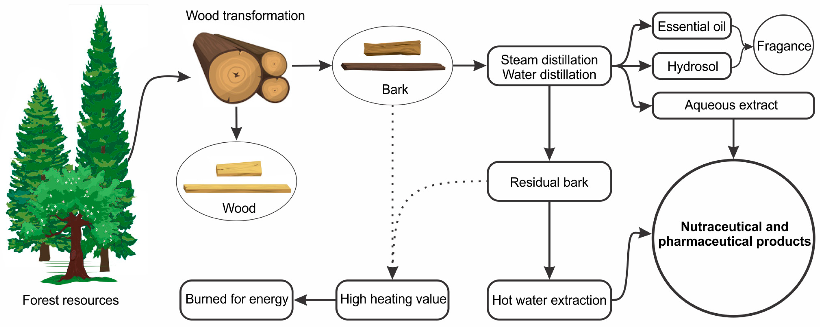 Molecules 28 02045 g005 Molecules 28 02045 g005
