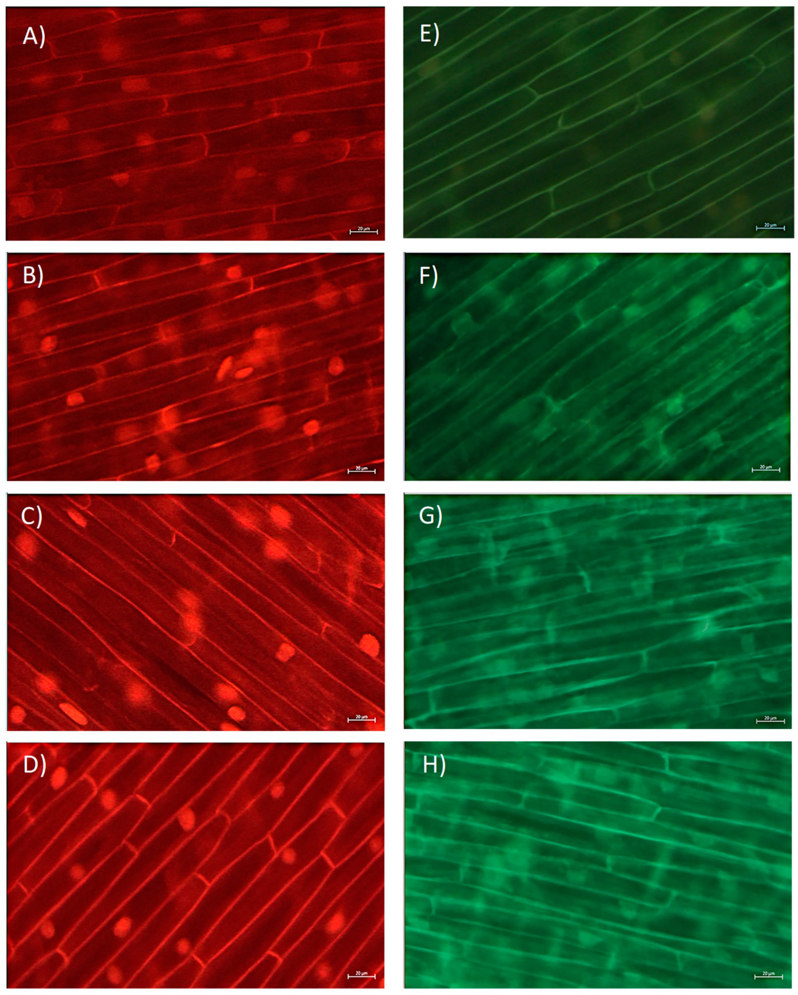 Molecules 28 02046 g003