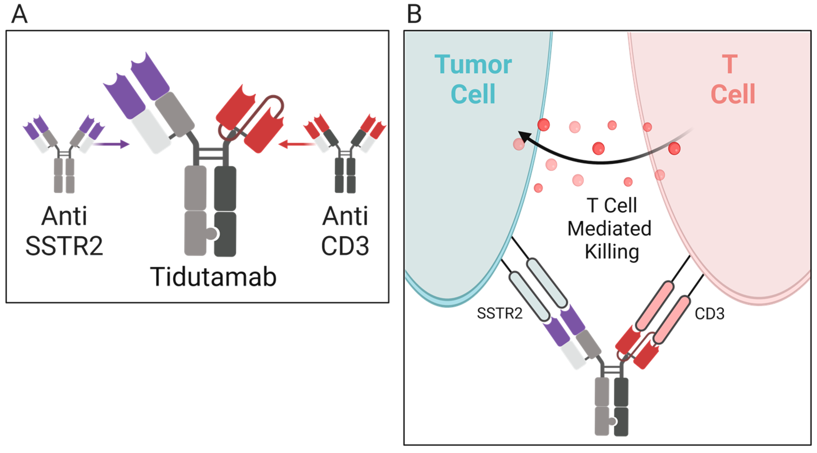 Molecules 28 02047 g003