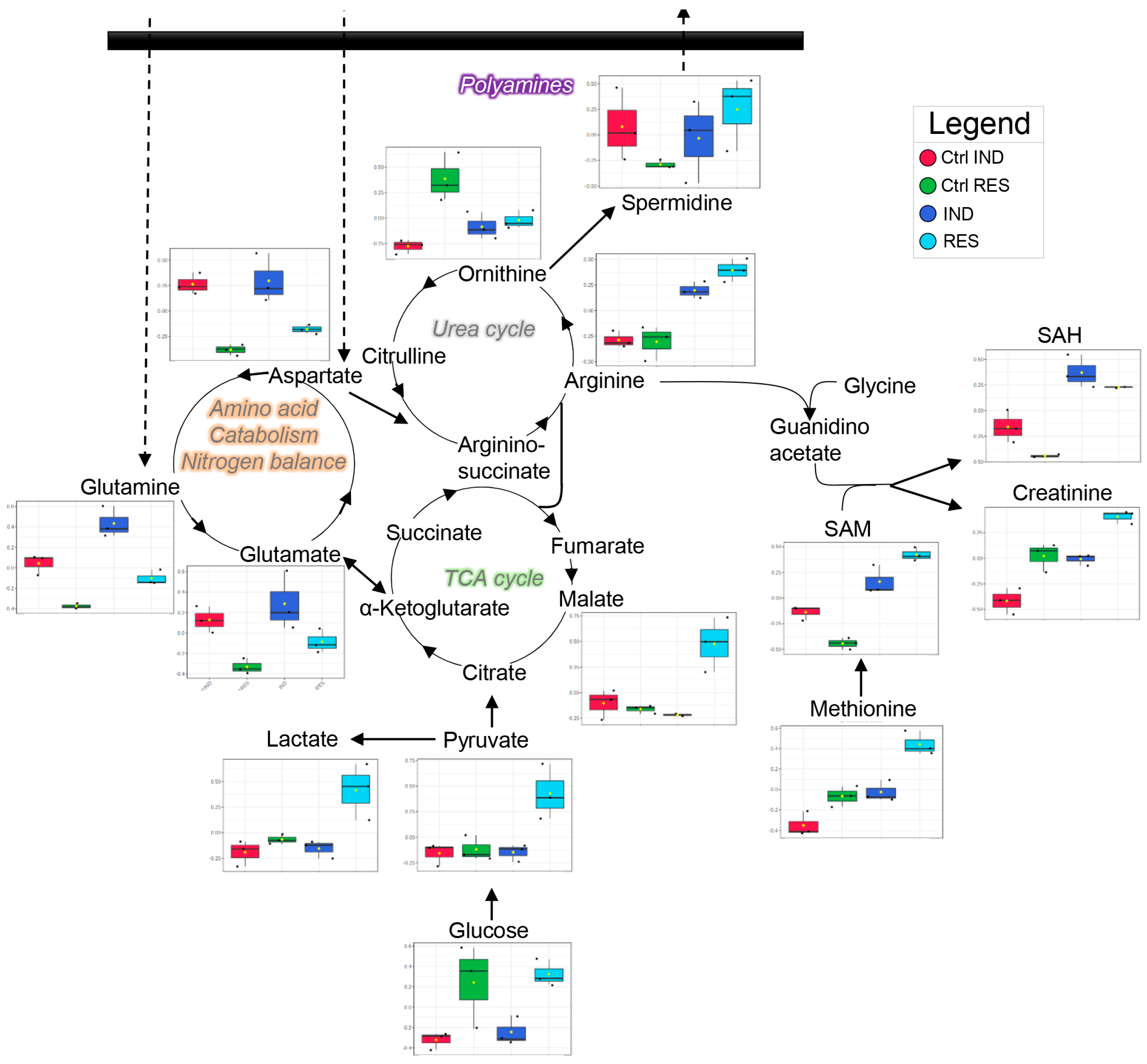 Molecules 28 02051 g003