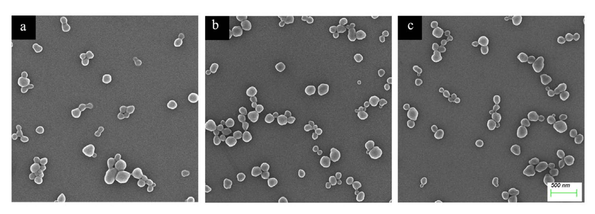 Molecules 28 02052 g006