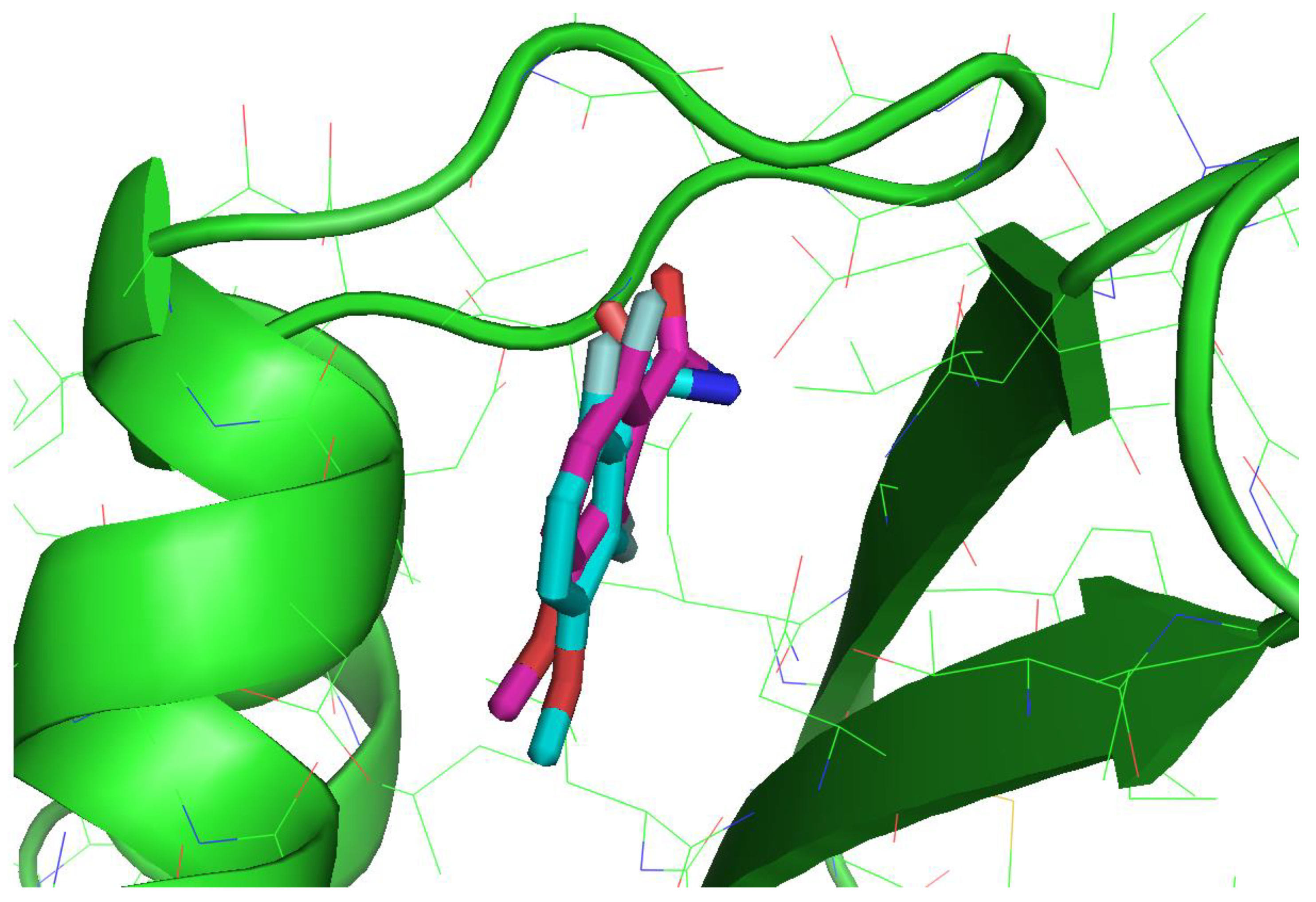 Molecules 28 02055 g004 Molecules 28 02055 g004