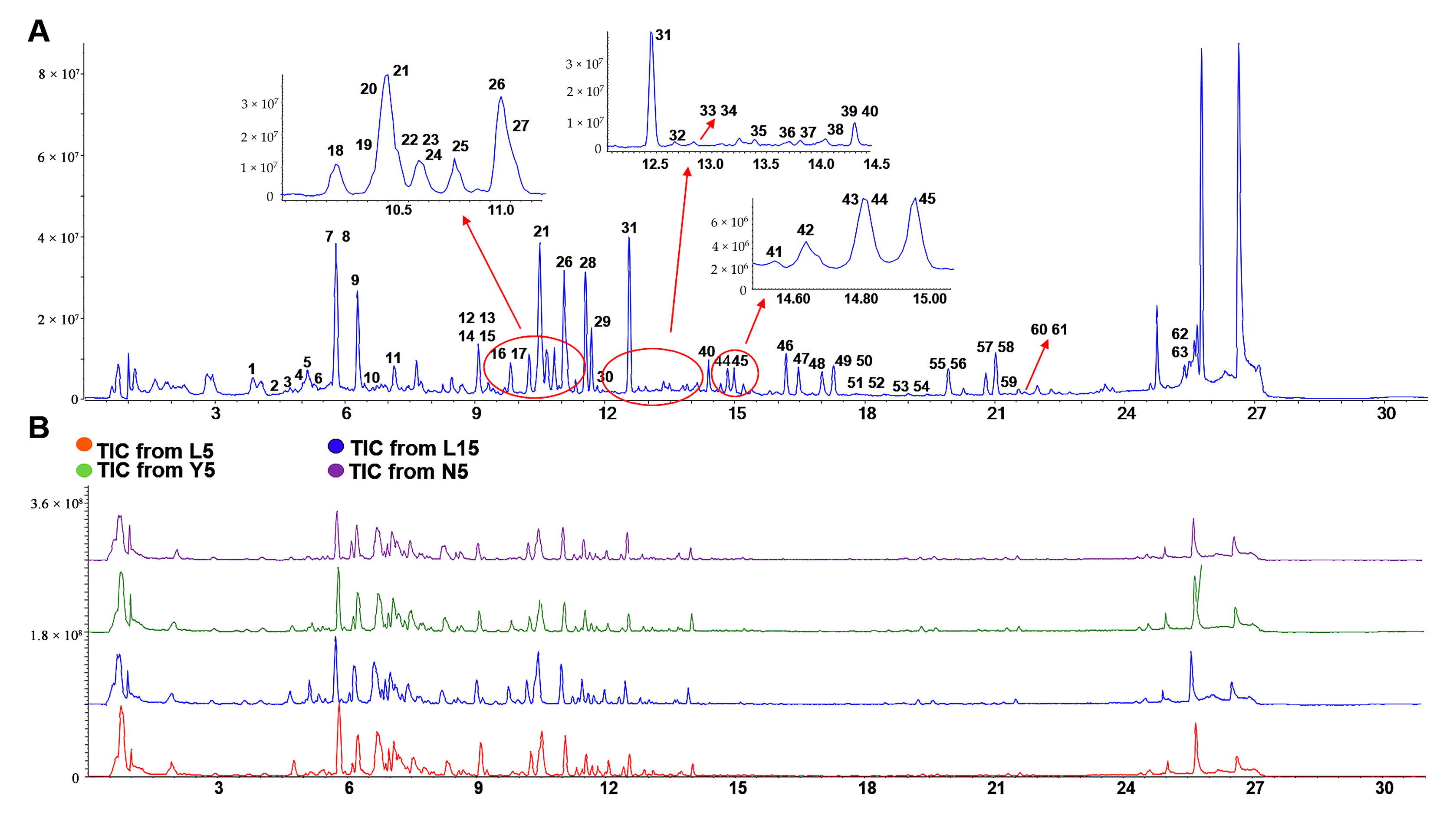 Molecules 28 02068 g004