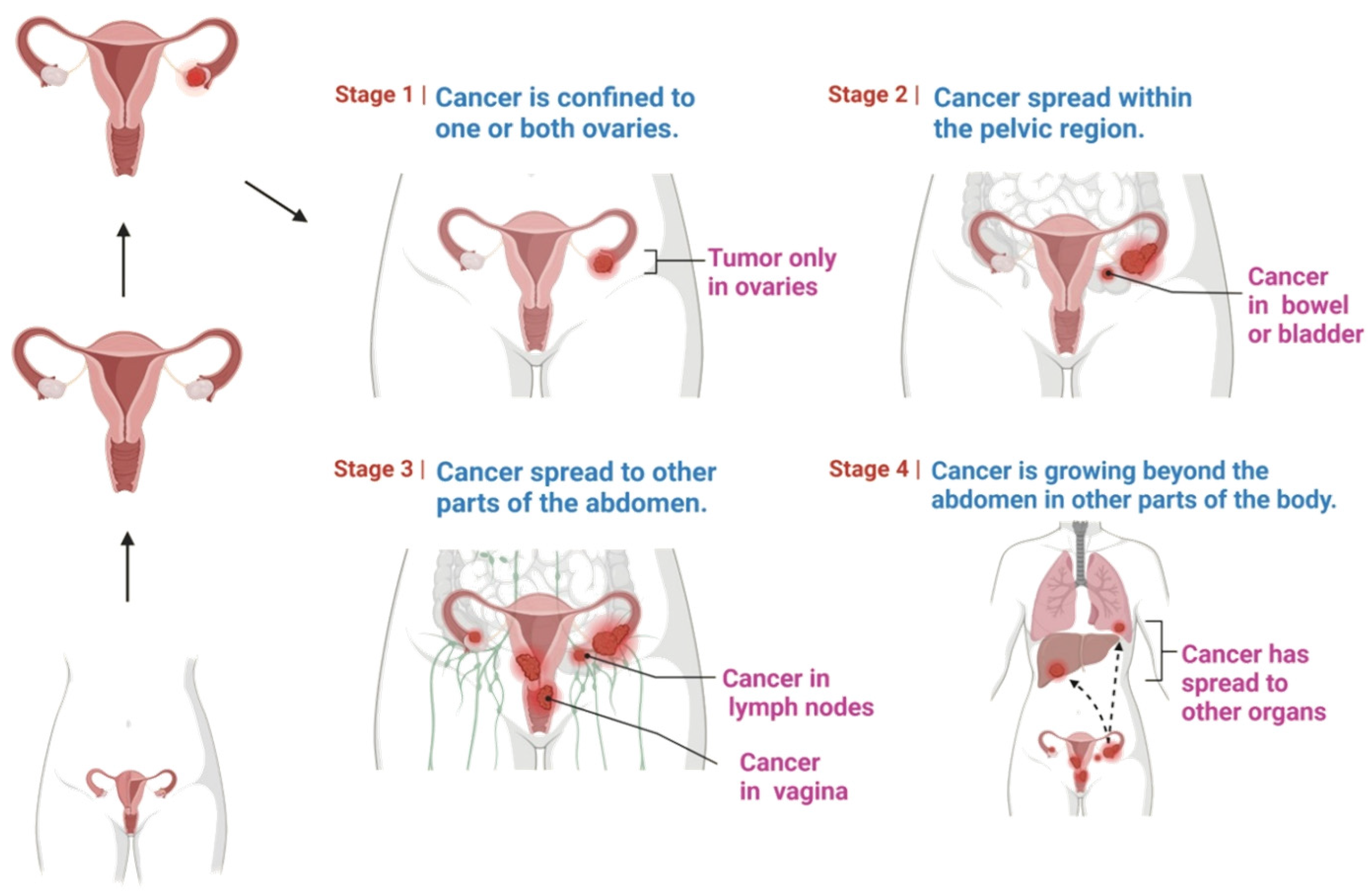 Molecules 28 02070 g002 Molecules 28 02070 g002