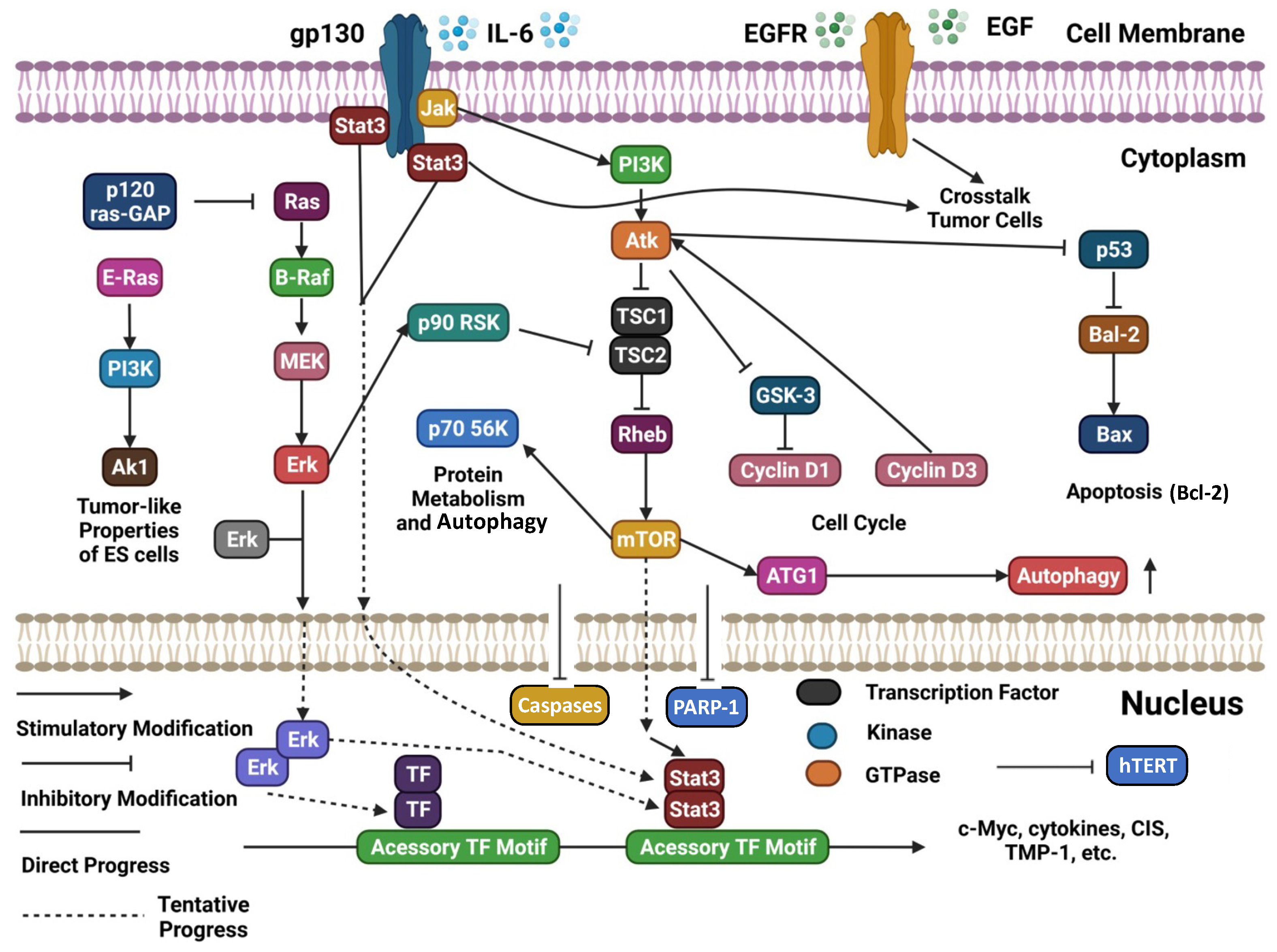 Molecules 28 02070 g003 Molecules 28 02070 g003