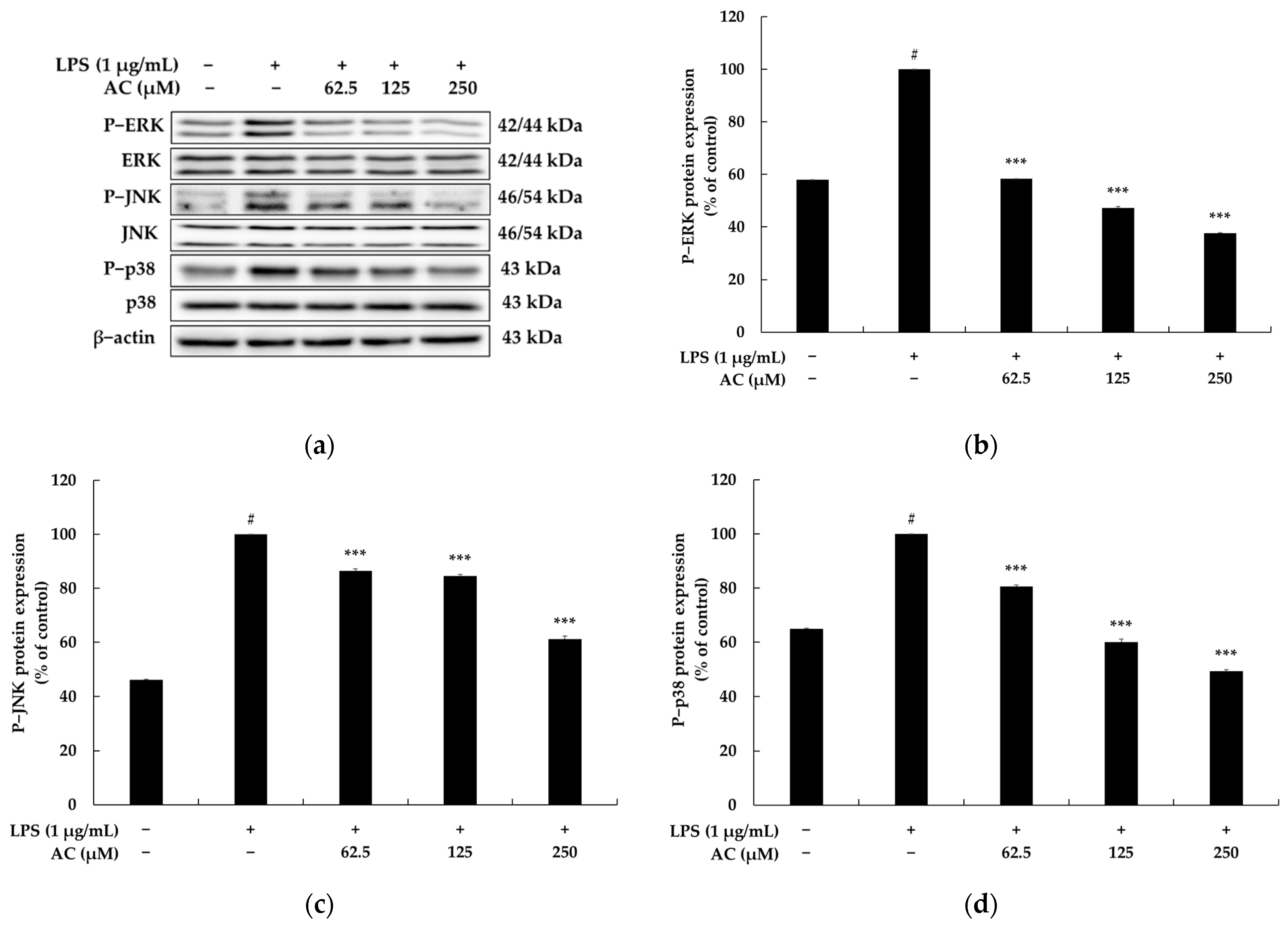 Molecules 28 02075 g005