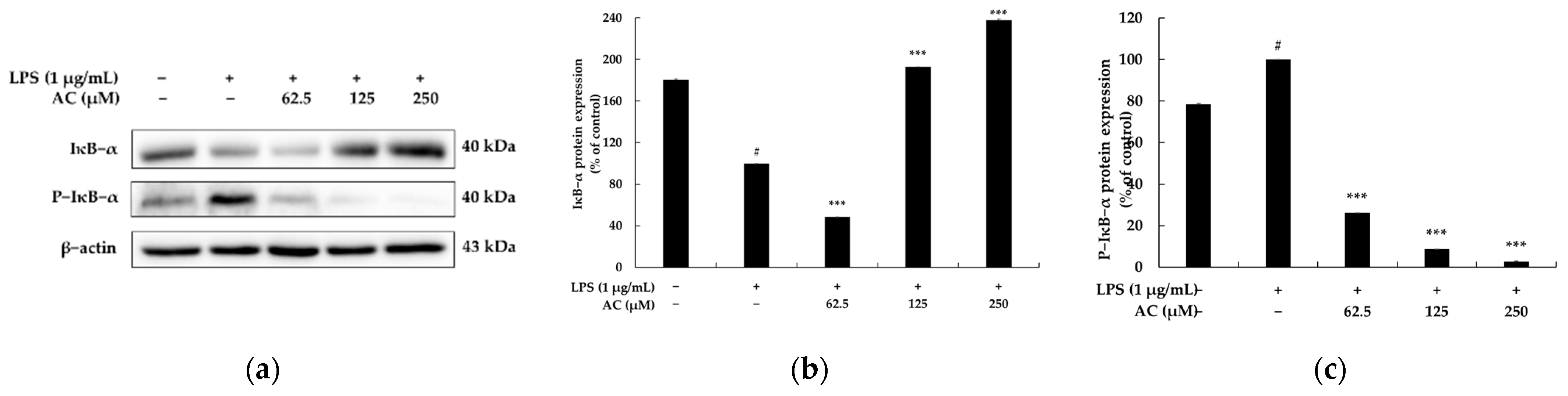 Molecules 28 02075 g006