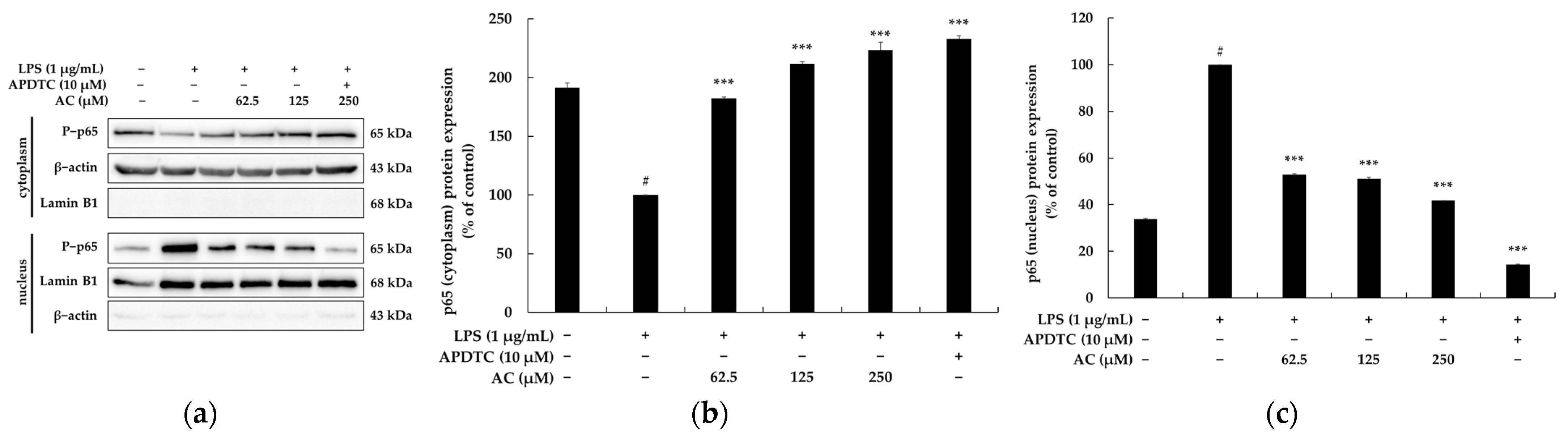 Molecules 28 02075 g007