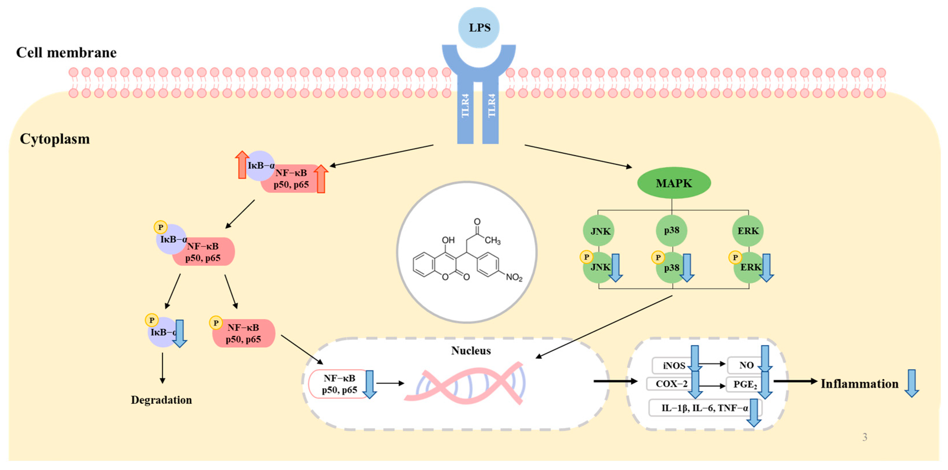 Molecules 28 02075 g008