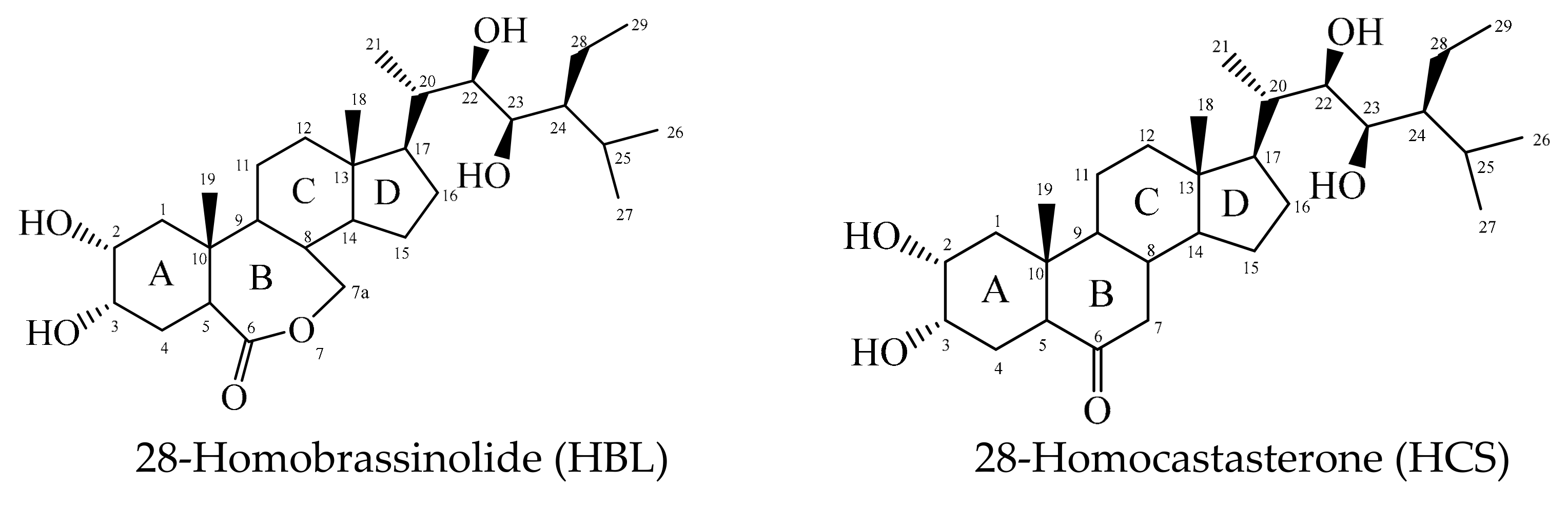 Molecules 28 02077 g001 Molecules 28 02077 g001