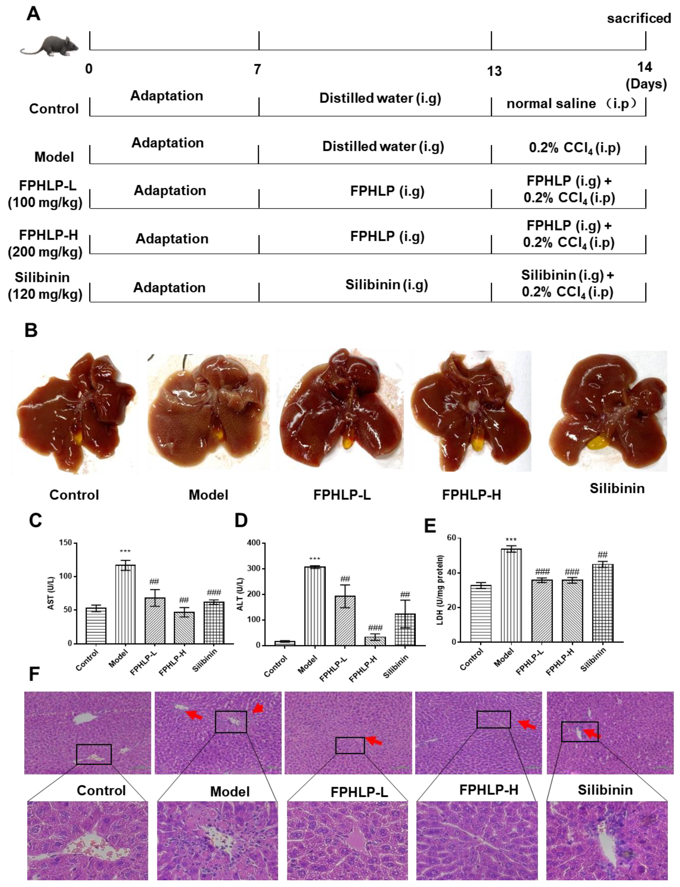 Molecules 28 02078 g002