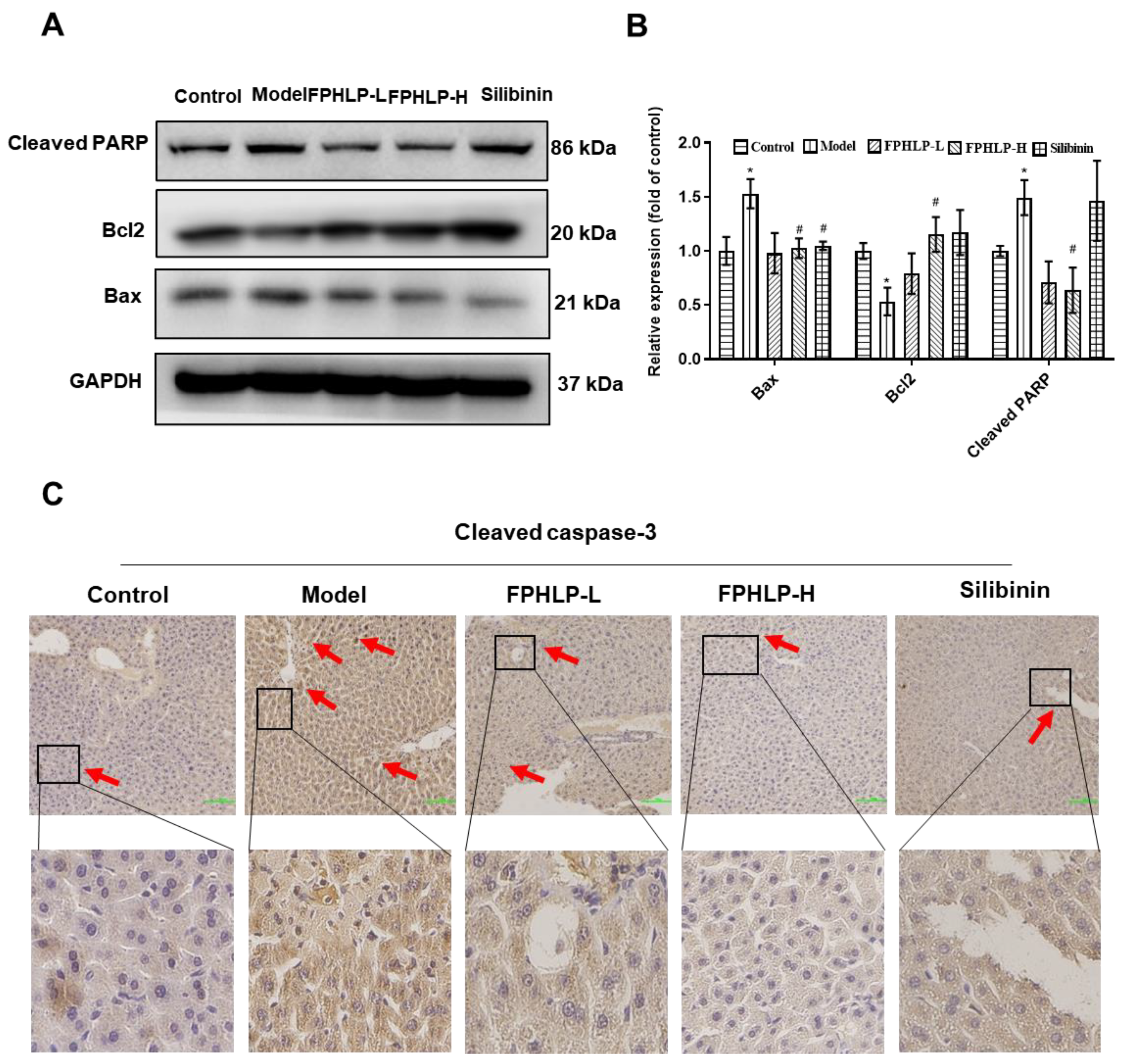 Molecules 28 02078 g003