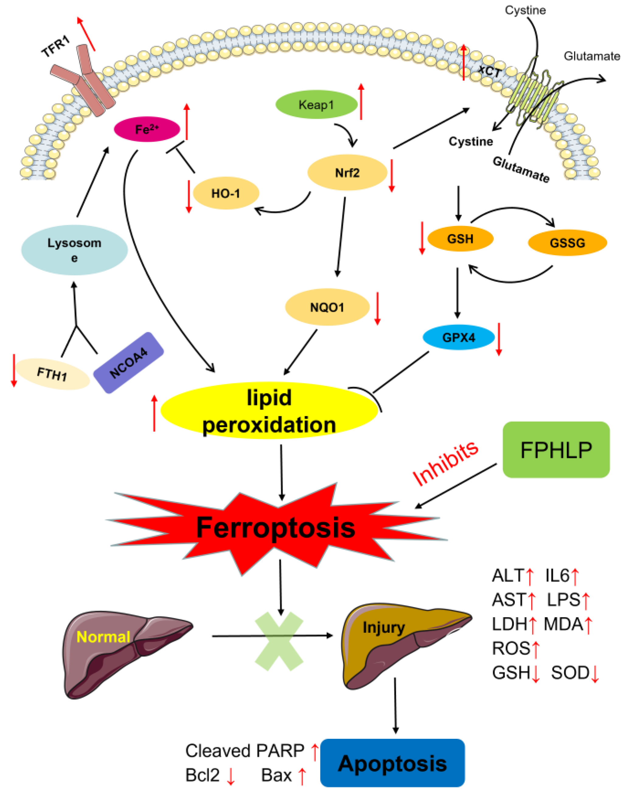 Molecules 28 02078 g007