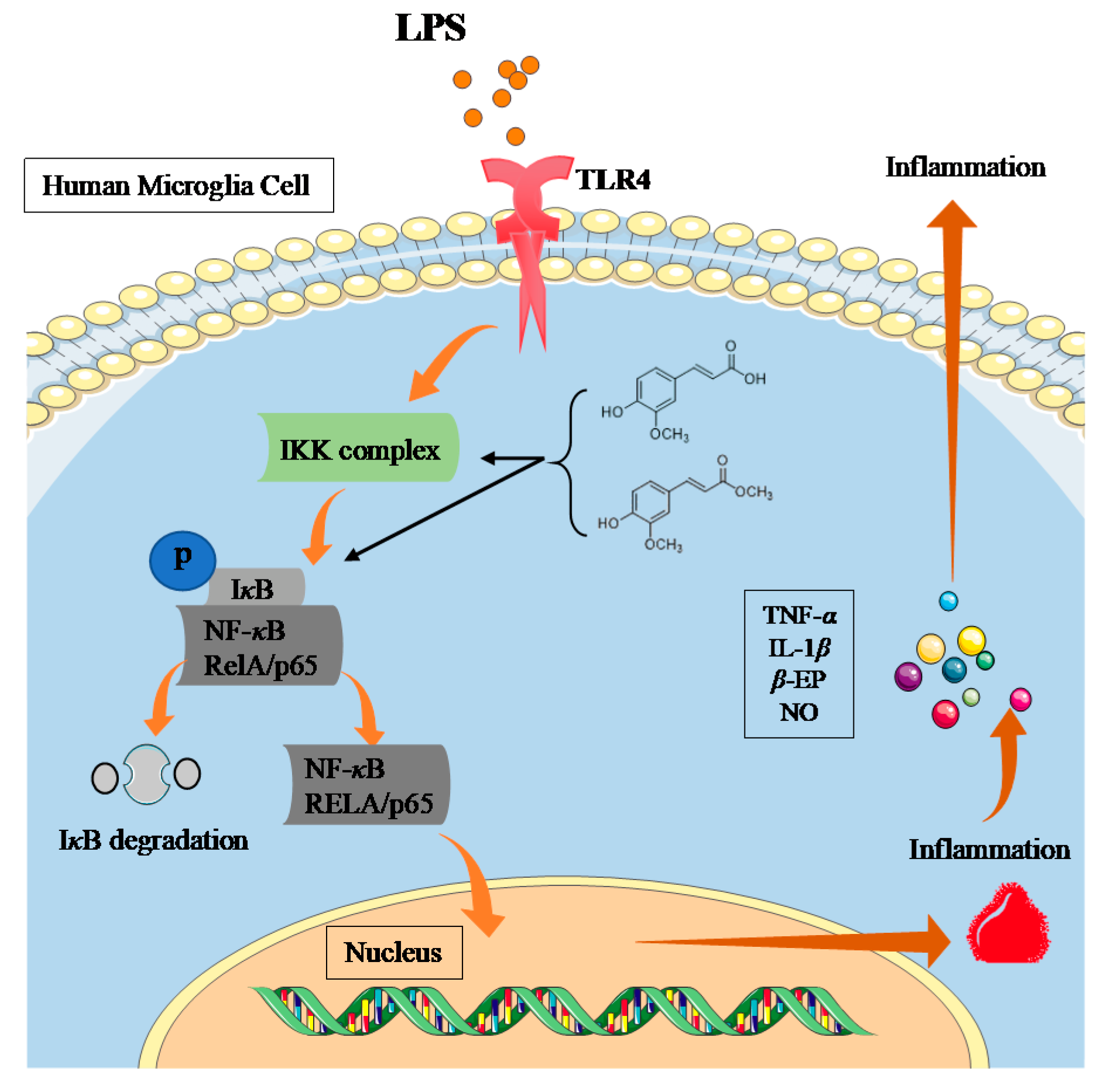 Molecules 28 02080 g005 Molecules 28 02080 g005
