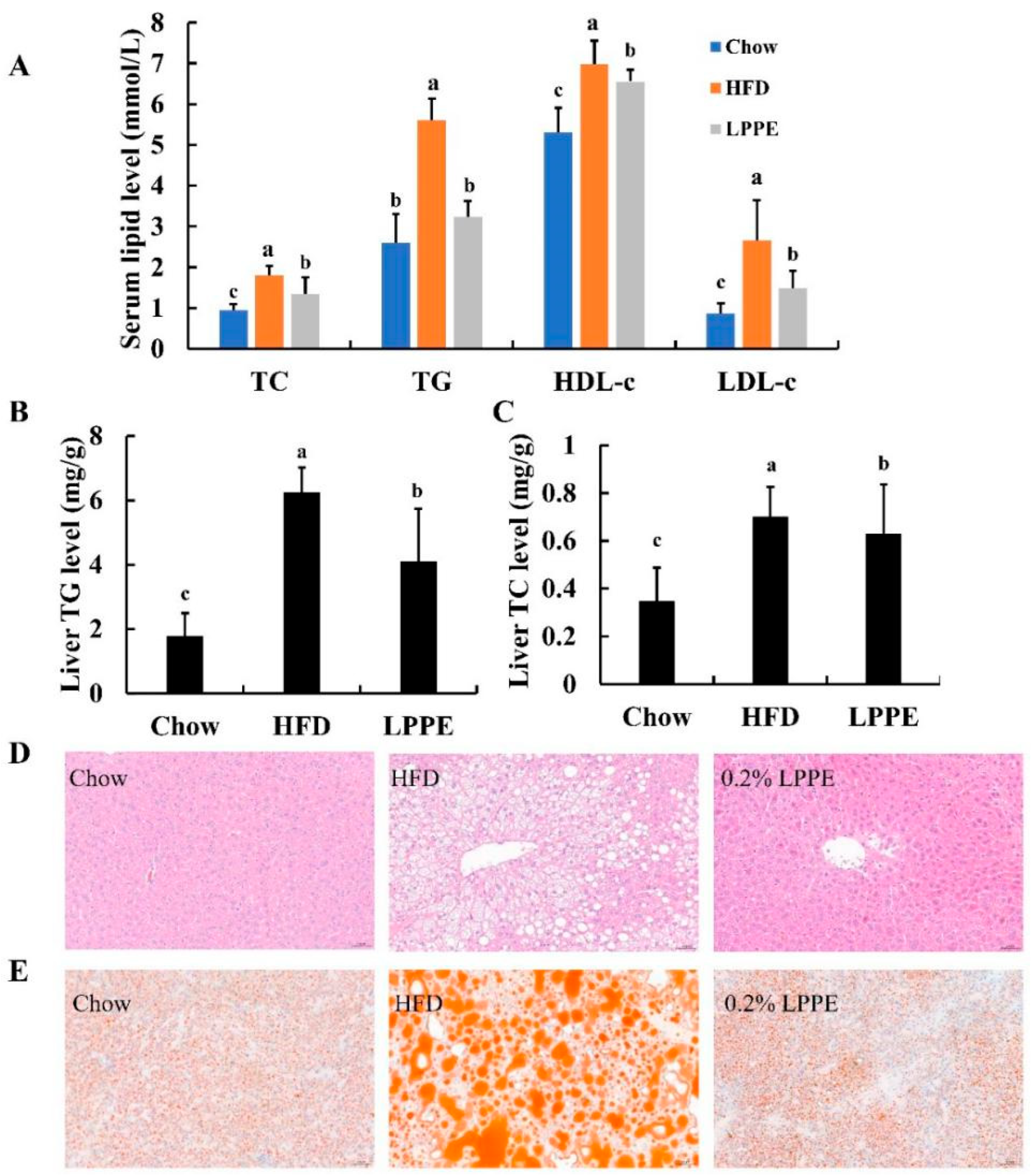 Molecules 28 02083 g003