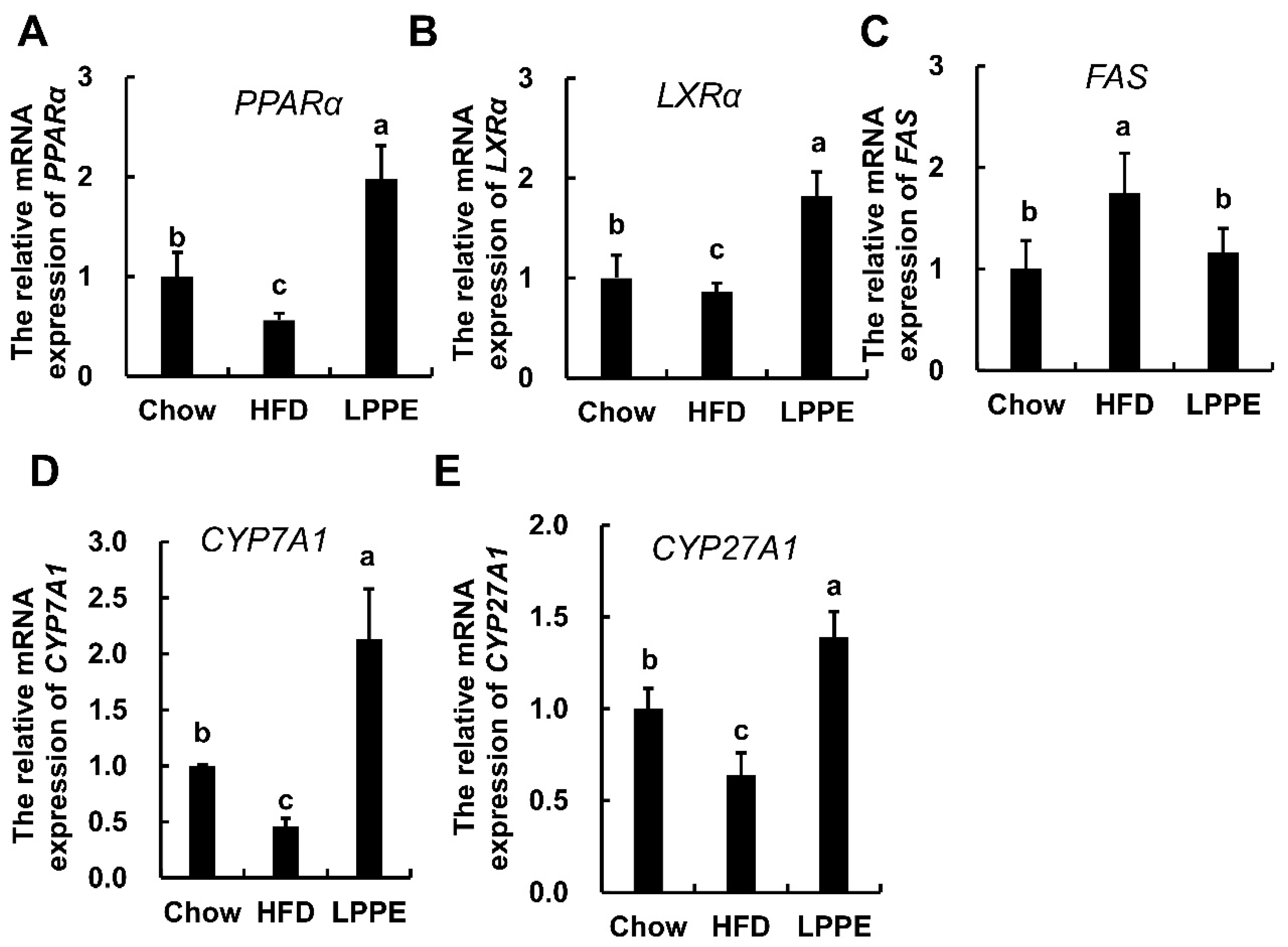 Molecules 28 02083 g004