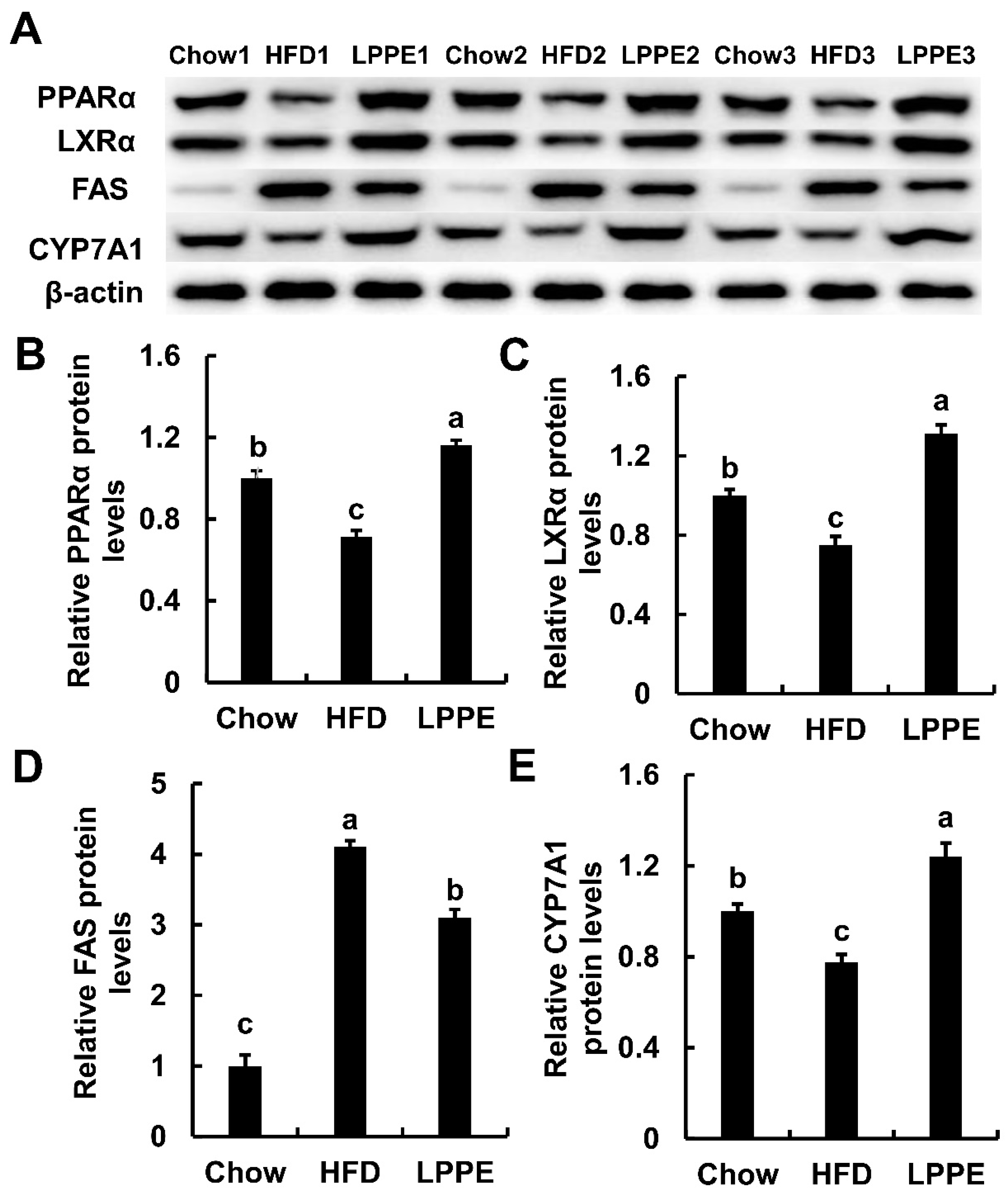 Molecules 28 02083 g005
