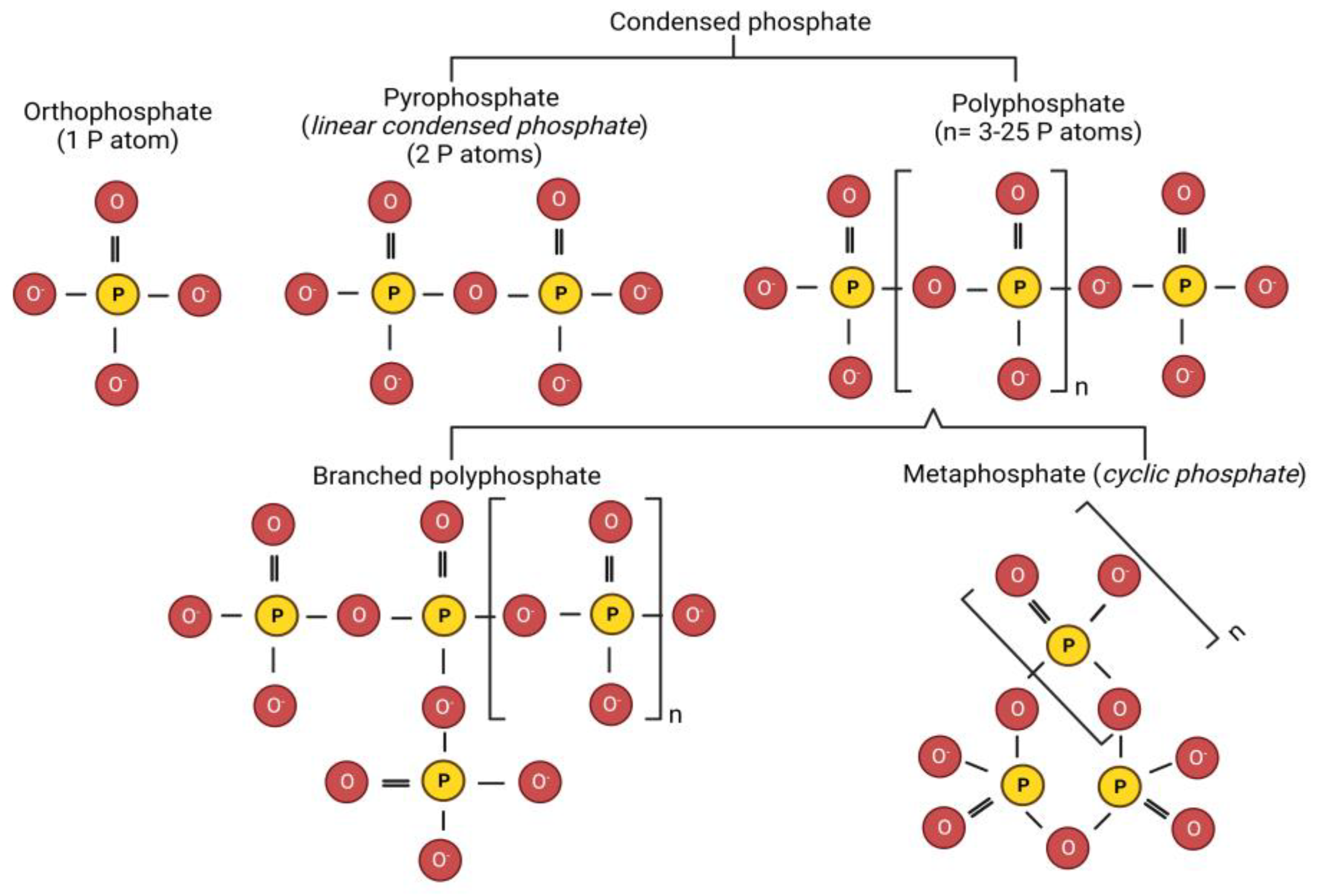 Molecules 28 02085 g001 Molecules 28 02085 g001