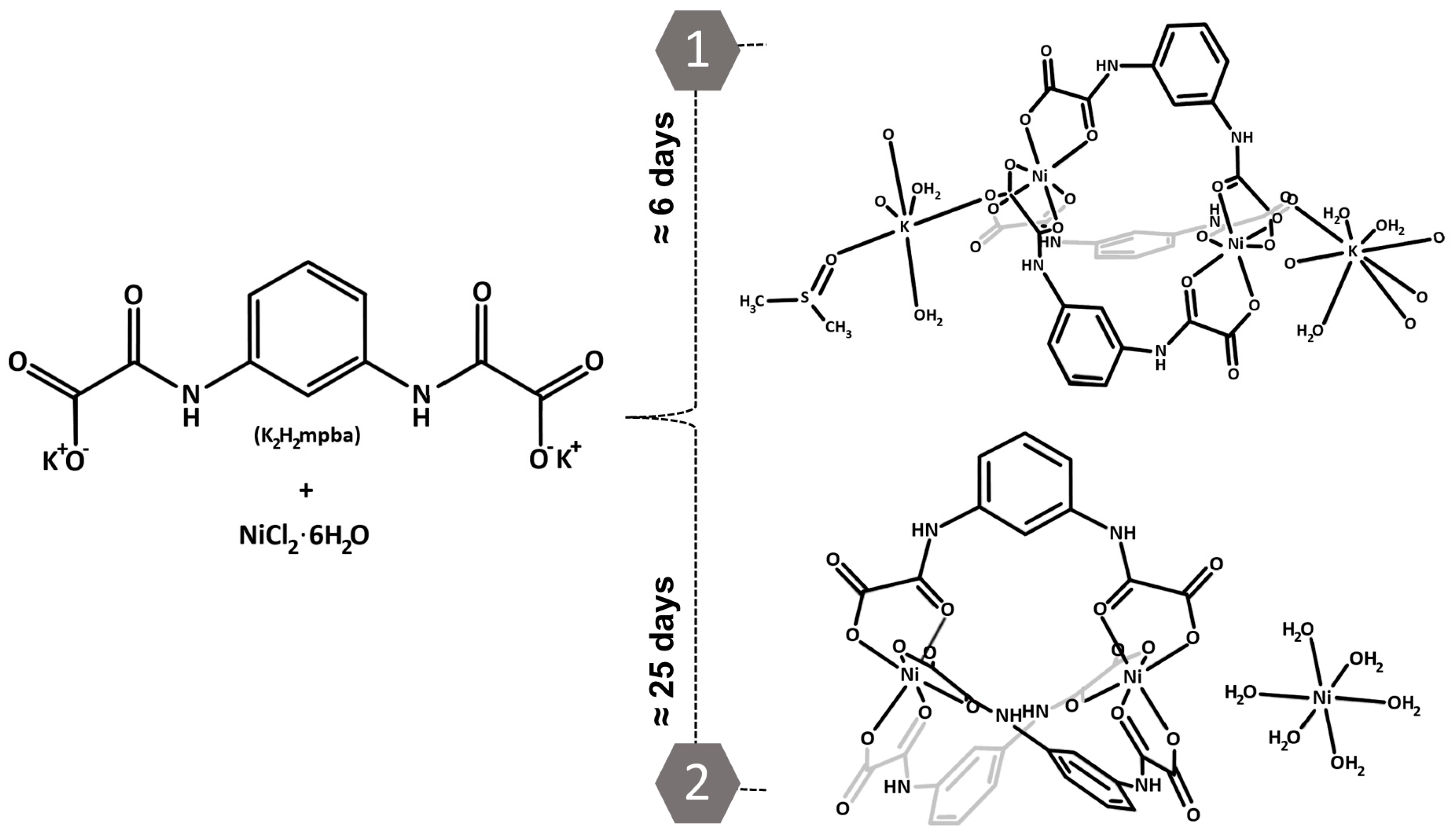 Molecules 28 02086 sch001