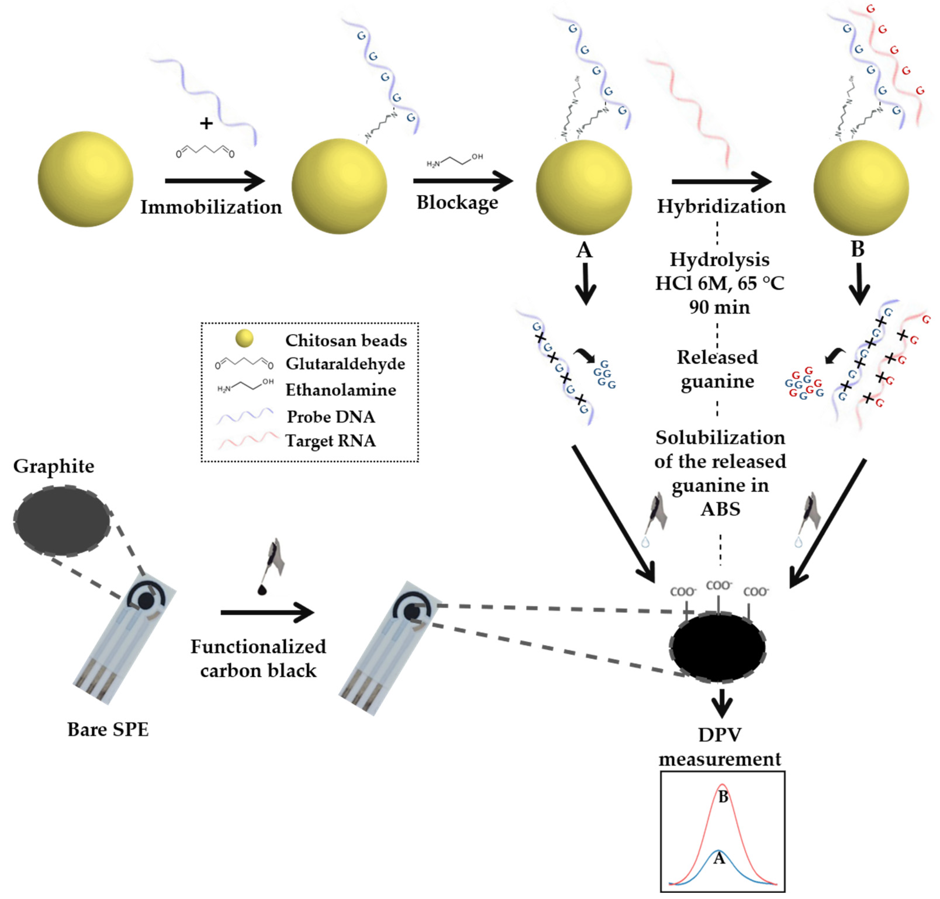 Molecules 28 02088 sch002 Molecules 28 02088 sch002