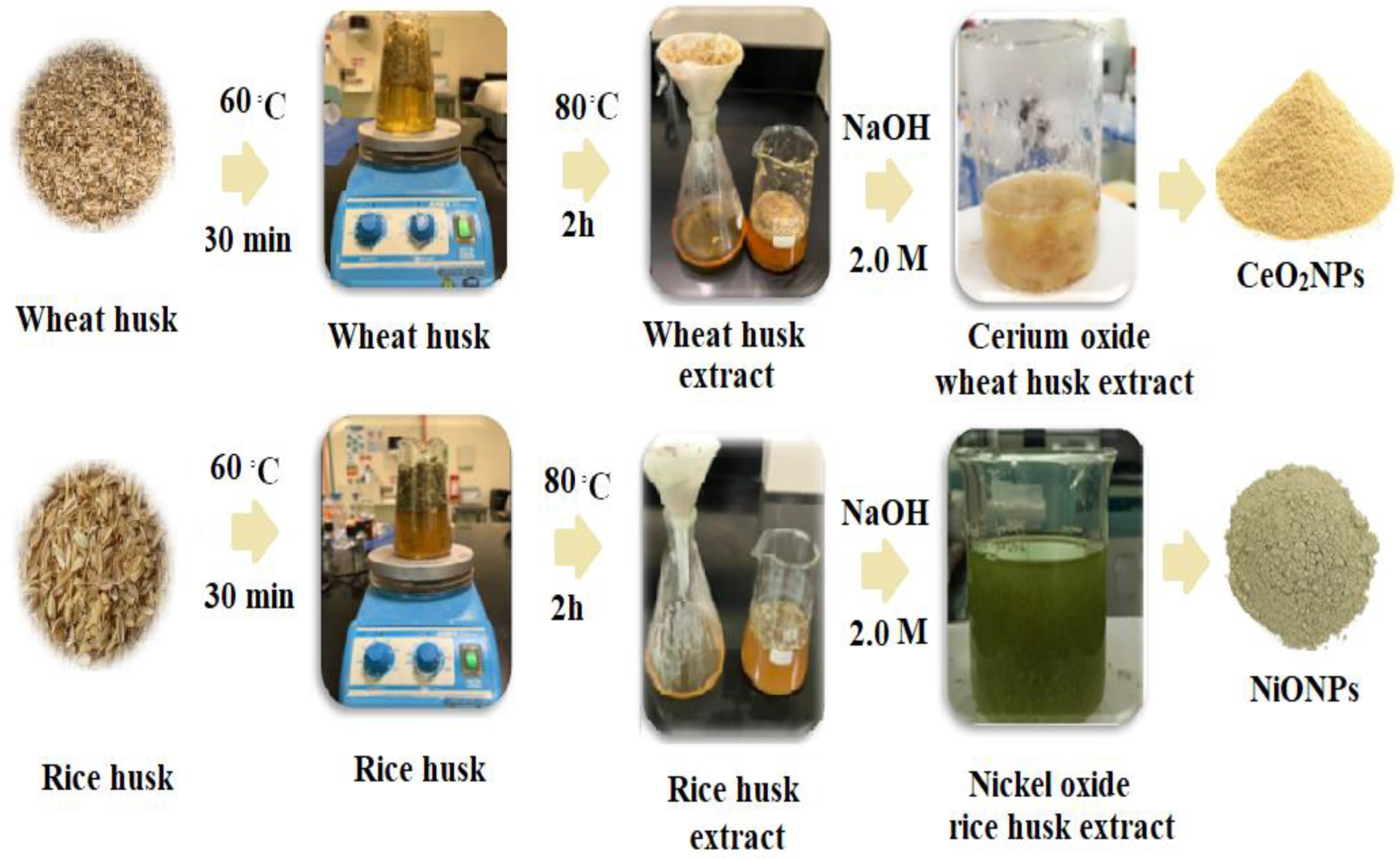 Molecules 28 02095 sch001