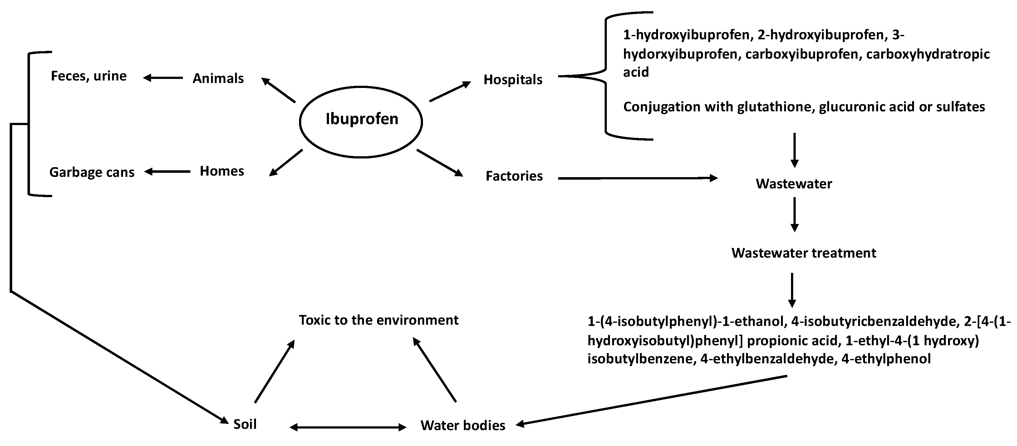 ibuprofen mechanism of action in pda