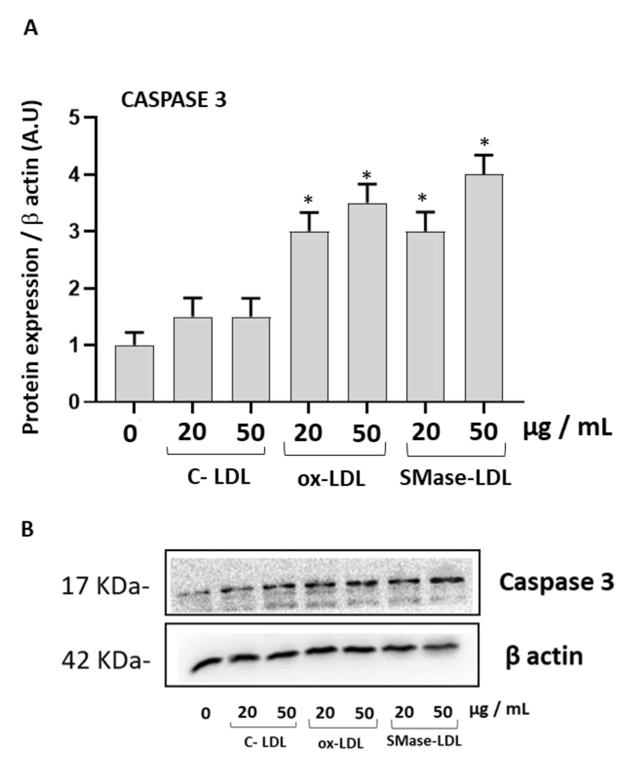 Molecules 28 02100 g002