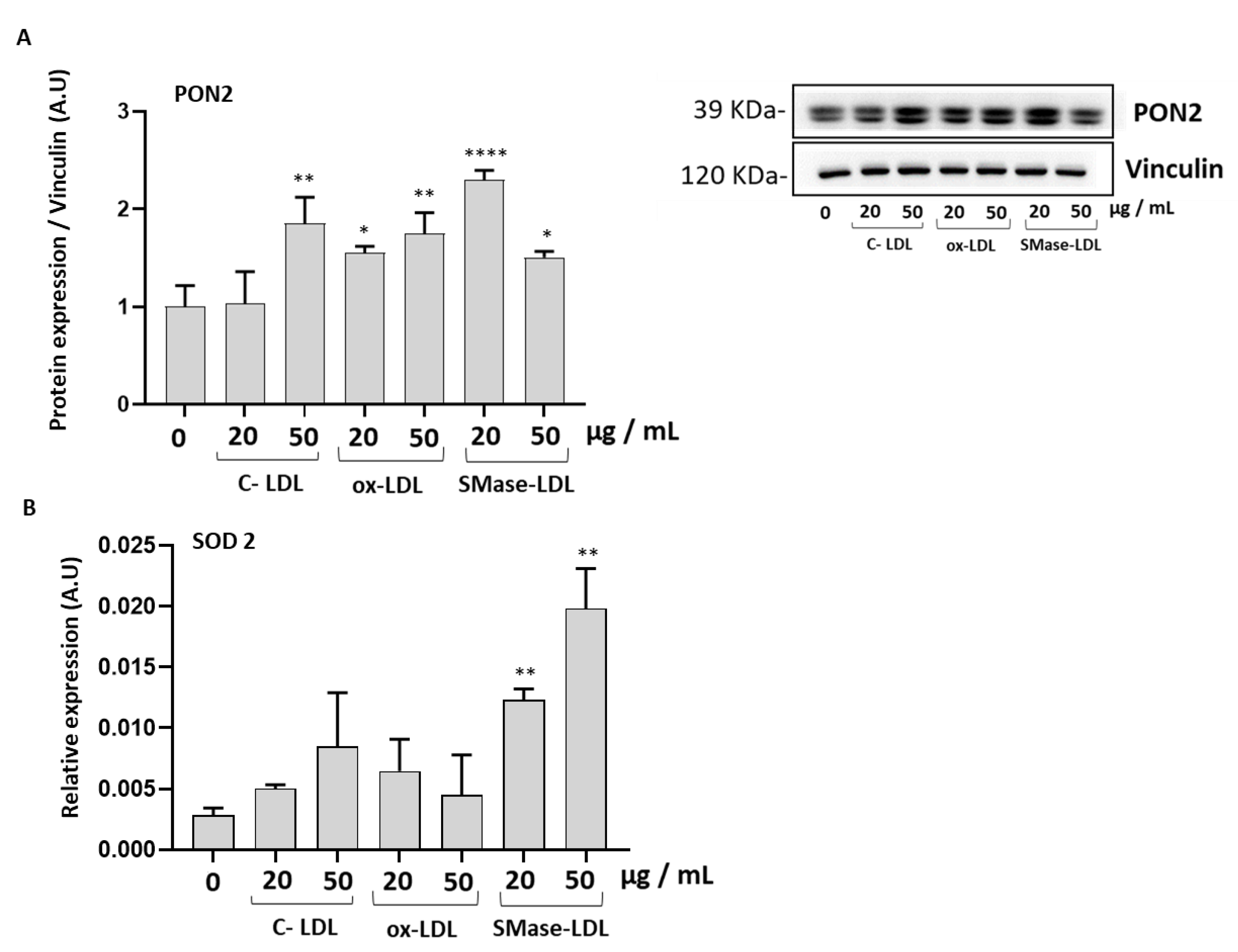 Molecules 28 02100 g004