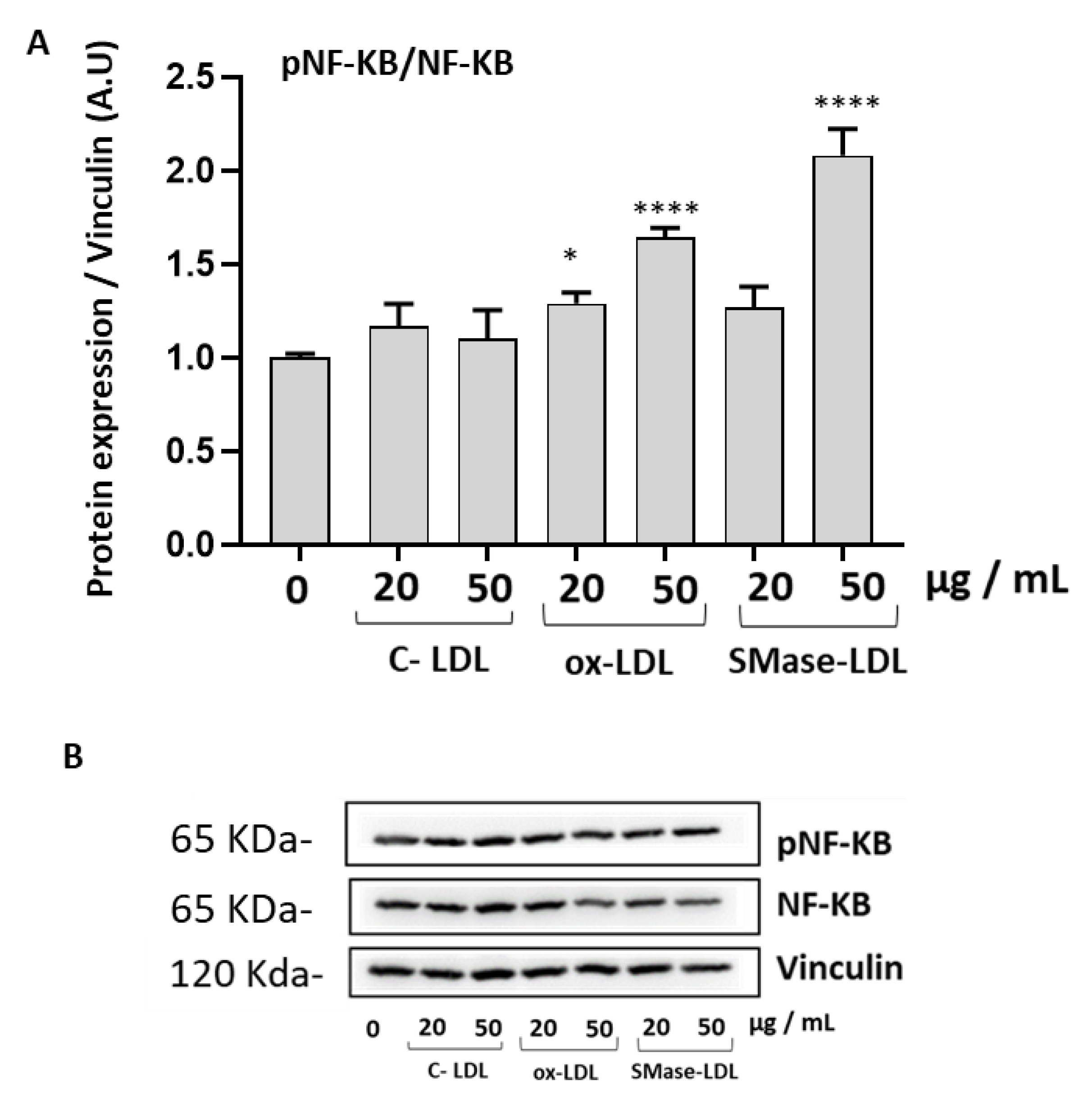 Molecules 28 02100 g005