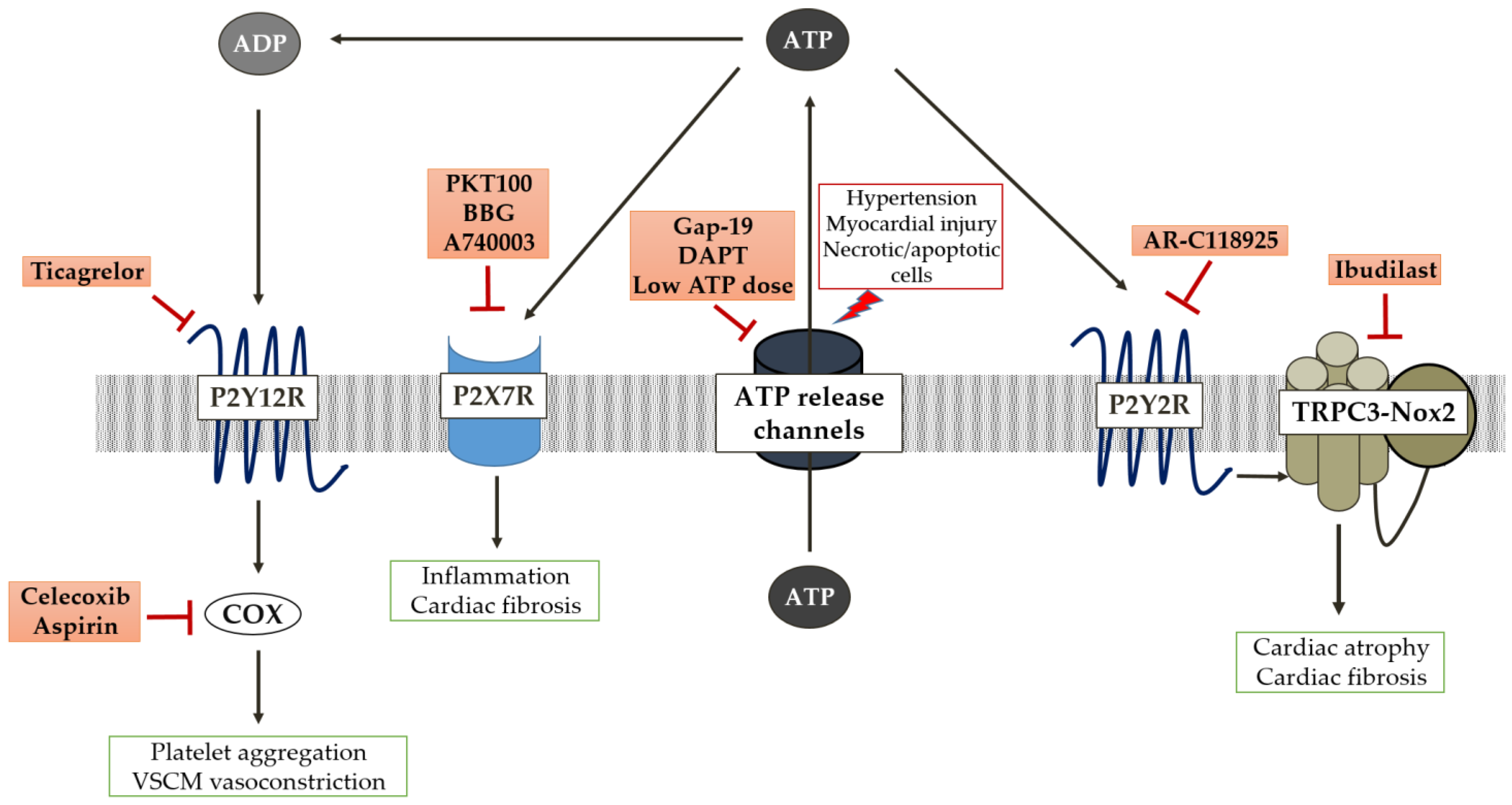 Molecules 28 02102 g002 Molecules 28 02102 g002