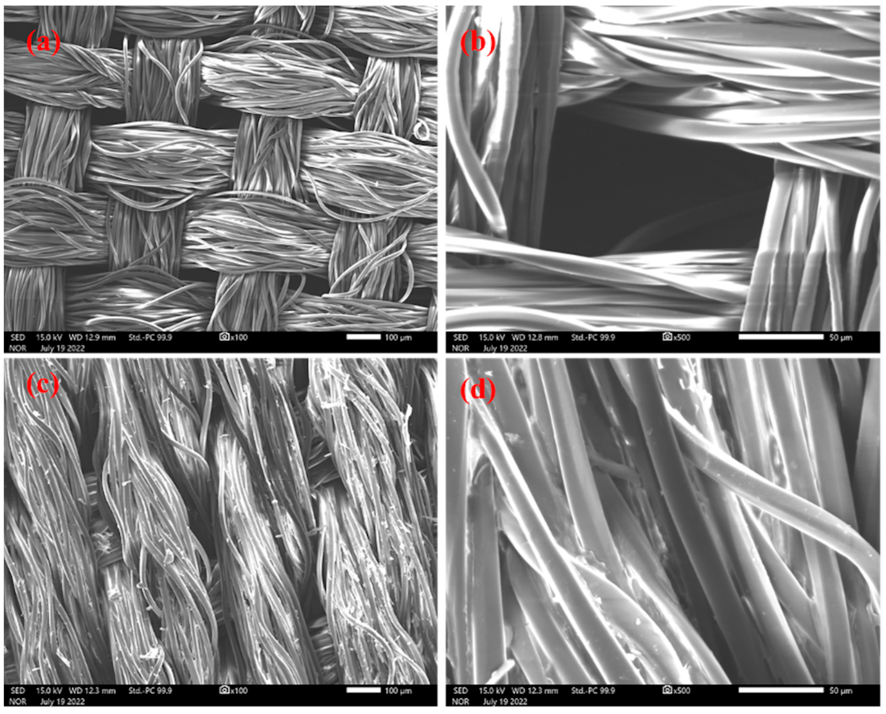 Molecules 28 02103 g001
