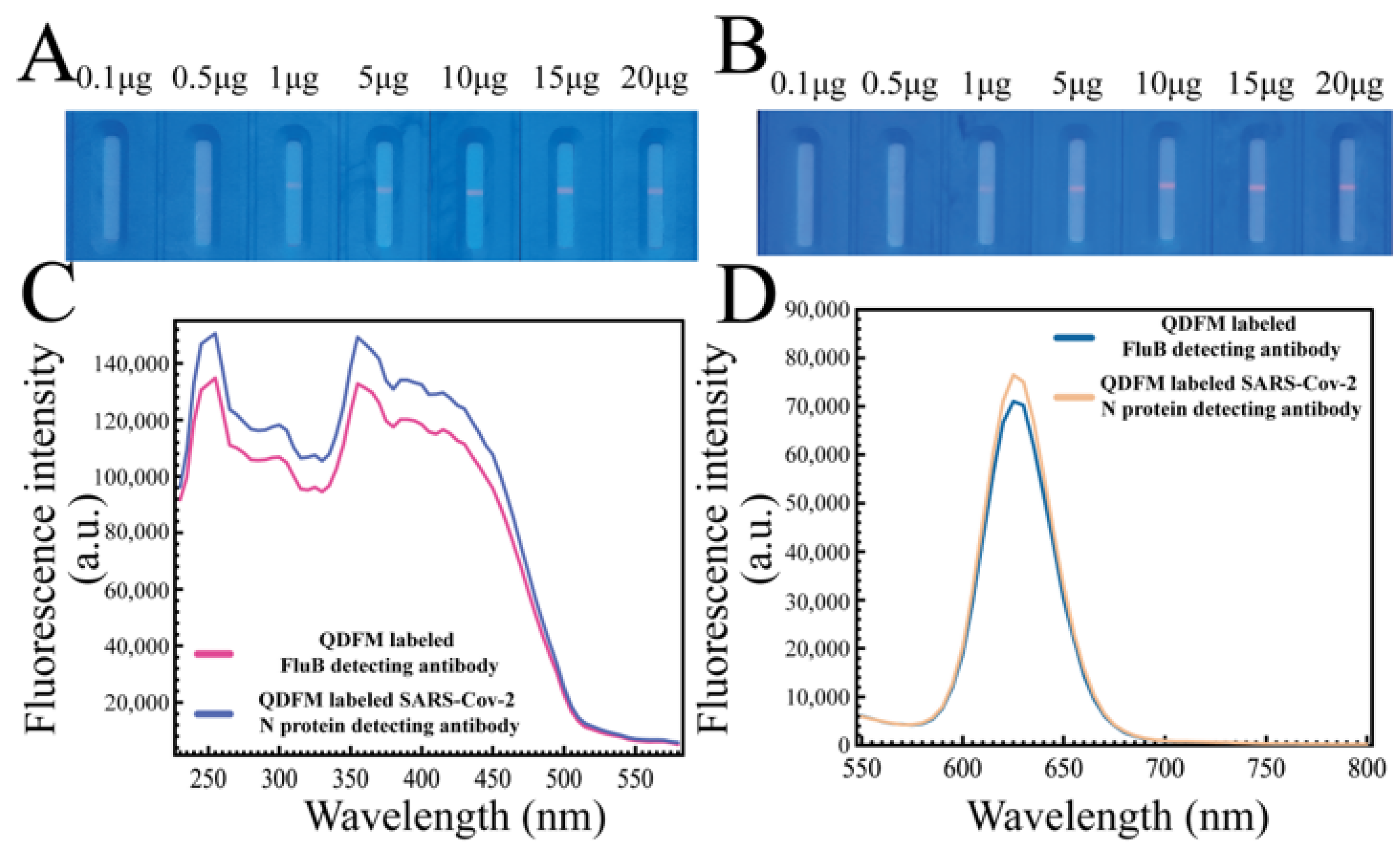 Molecules 28 02104 g002