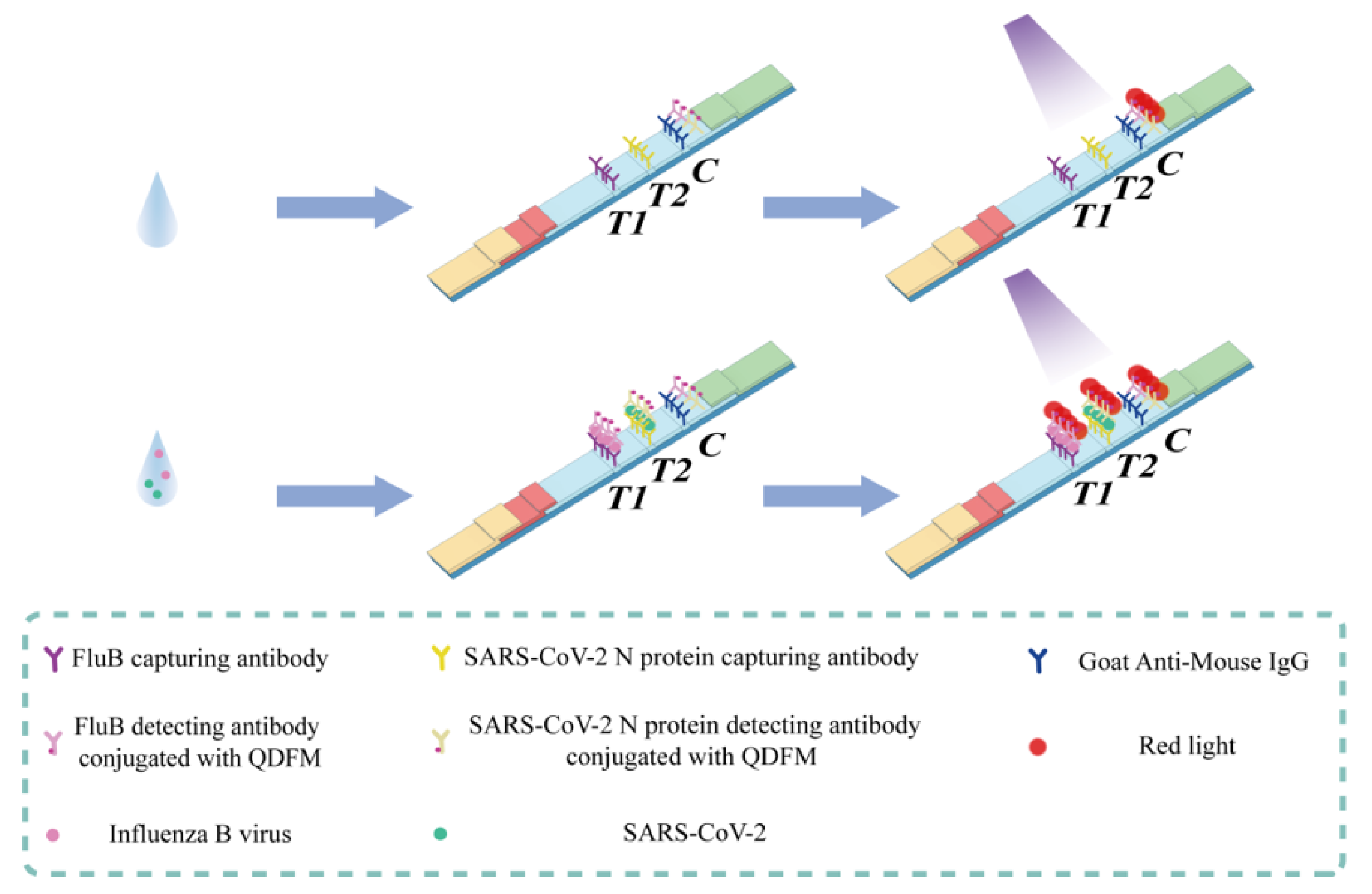 Molecules 28 02104 g003