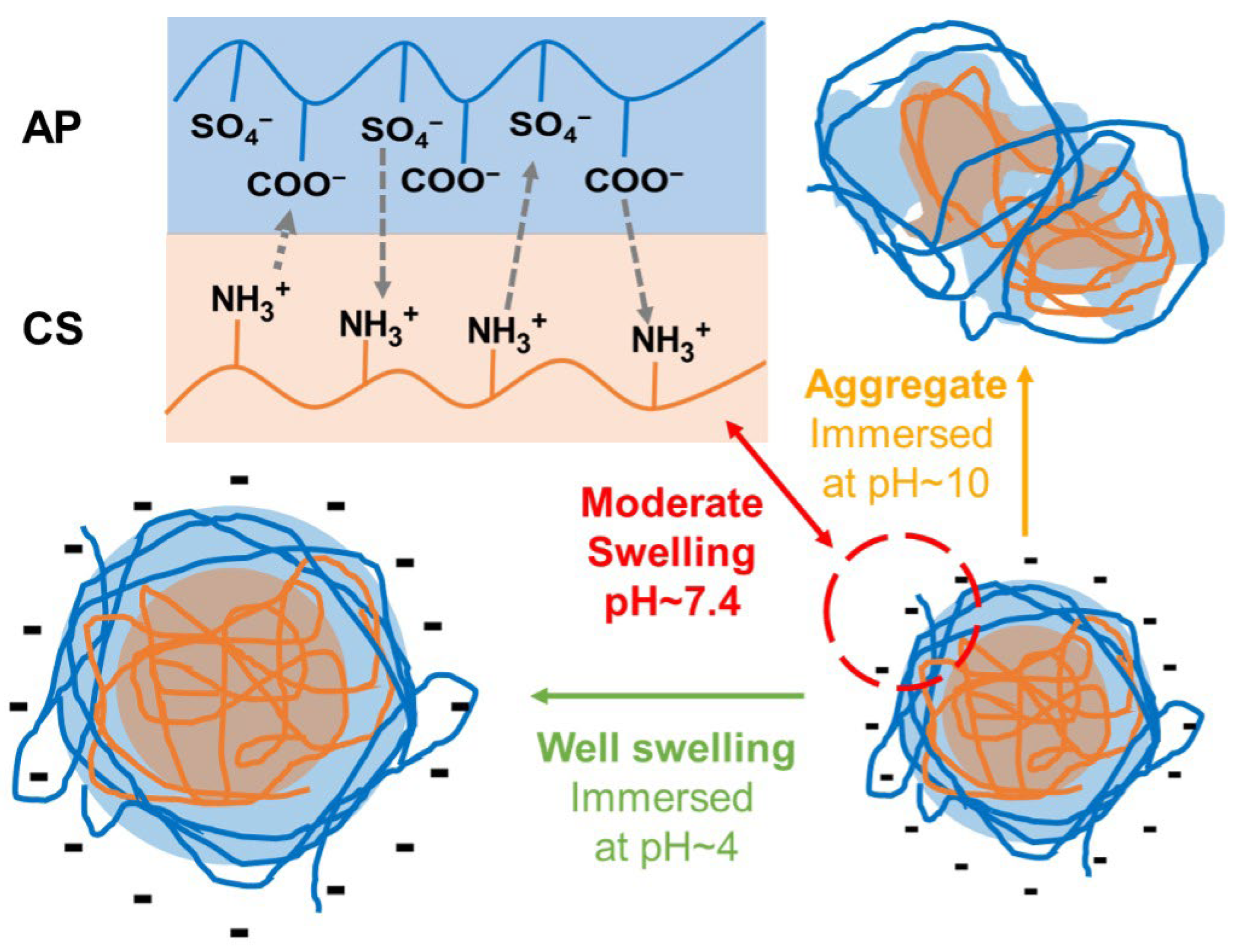Molecules 28 02105 g001 Molecules 28 02105 g001