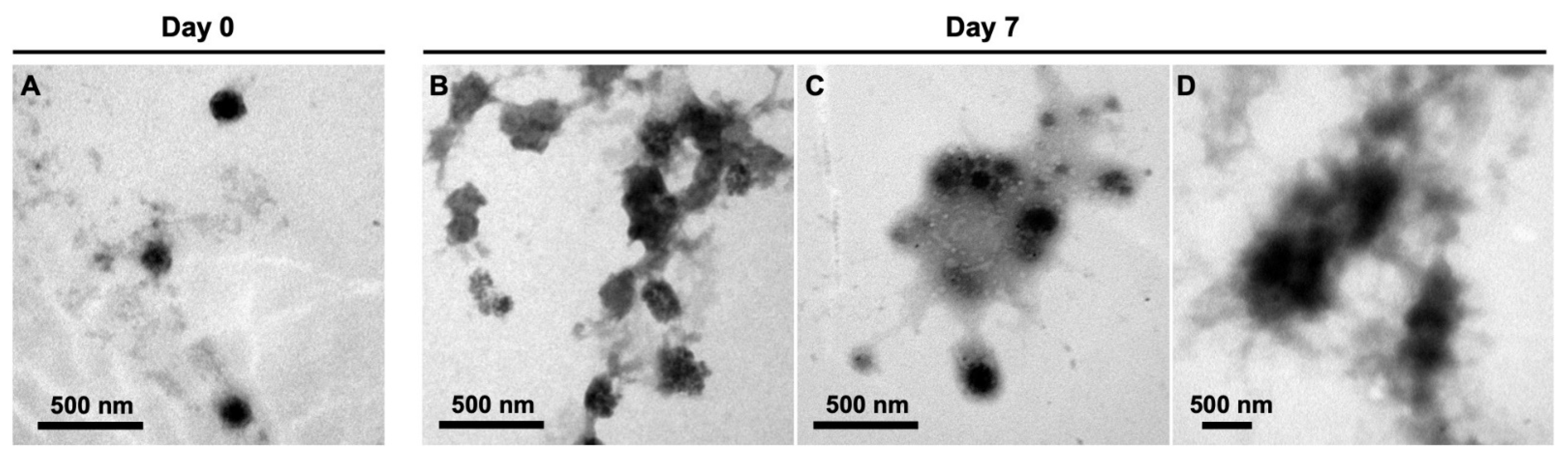 Molecules 28 02105 g003 Molecules 28 02105 g003